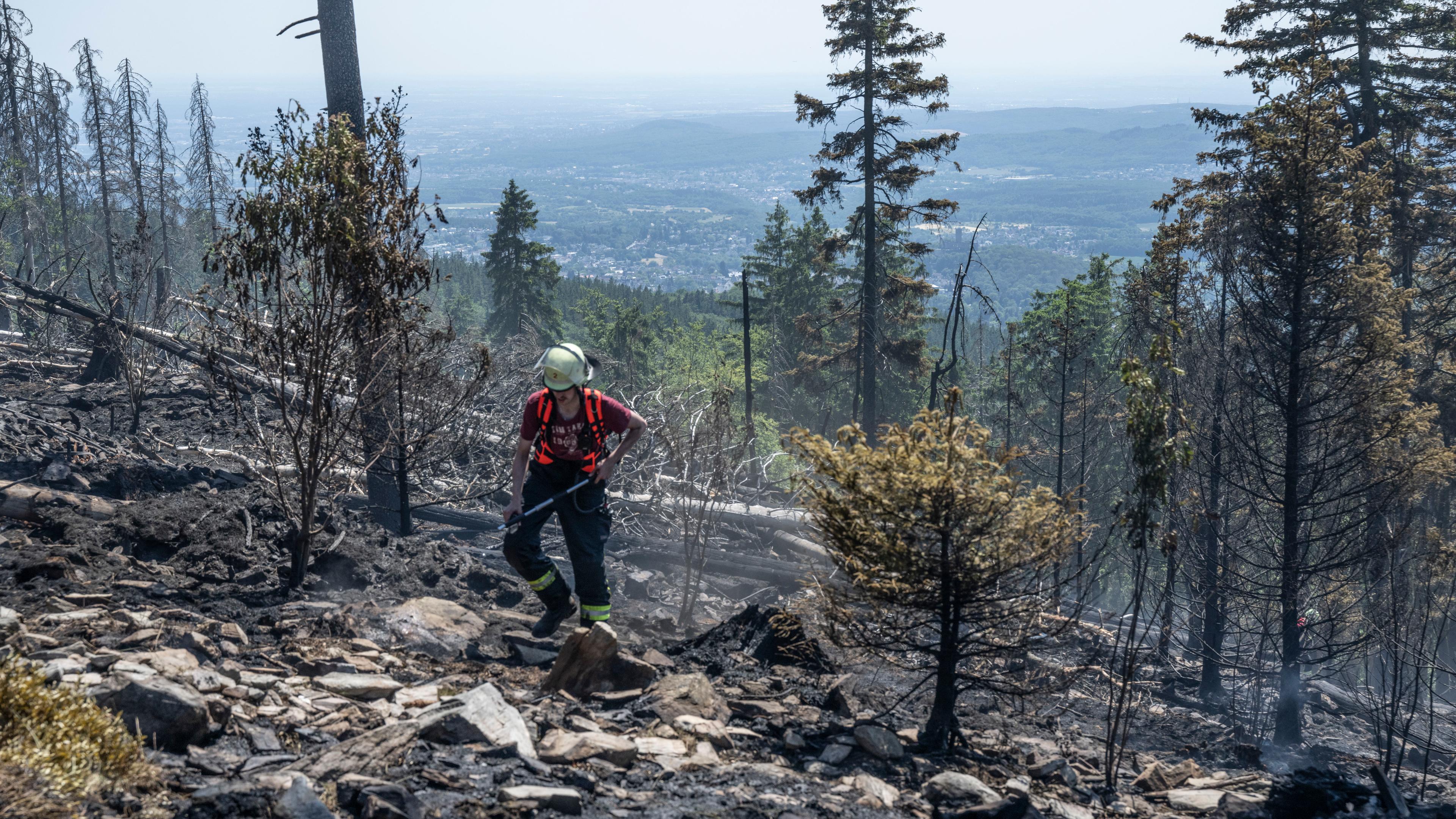Zu sehen ist ein Feuerwehrmann, der Glutnester nach einem Waldbrand im Taunus löscht. 