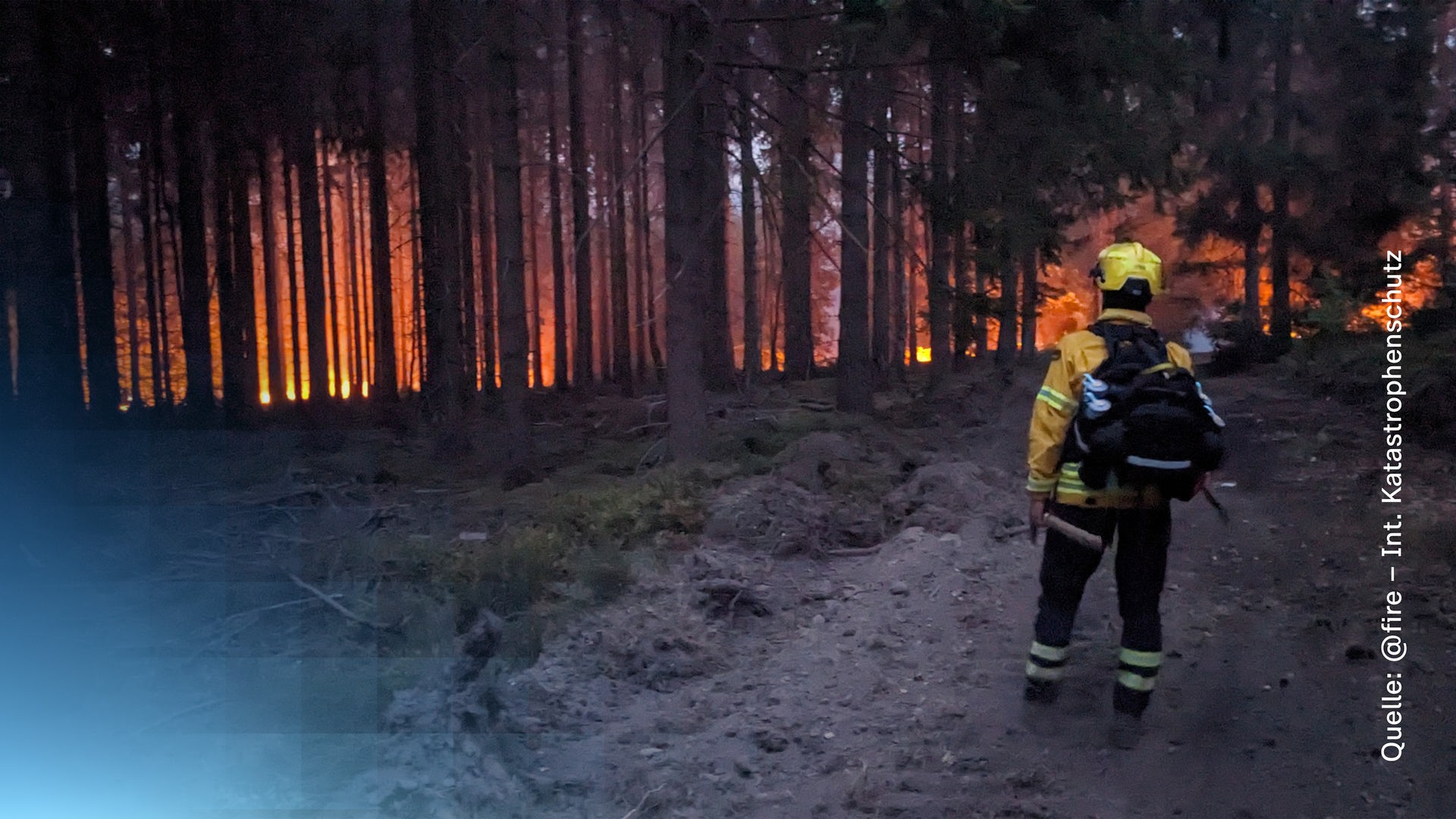 Der brennende Wald in Hürtgenwald mit einem Feuerwehrmann davorstehend