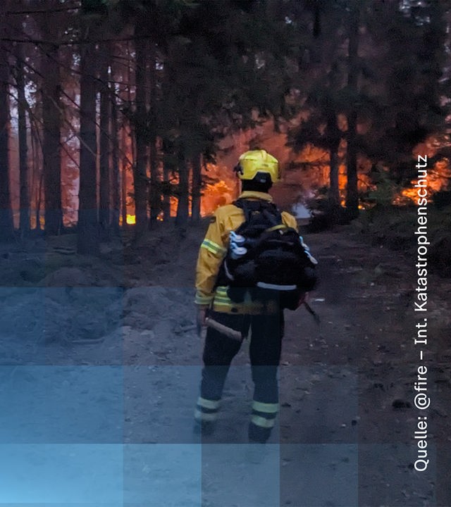 Der brennende Wald in Hürtgenwald mit einem Feuerwehrmann davorstehend
