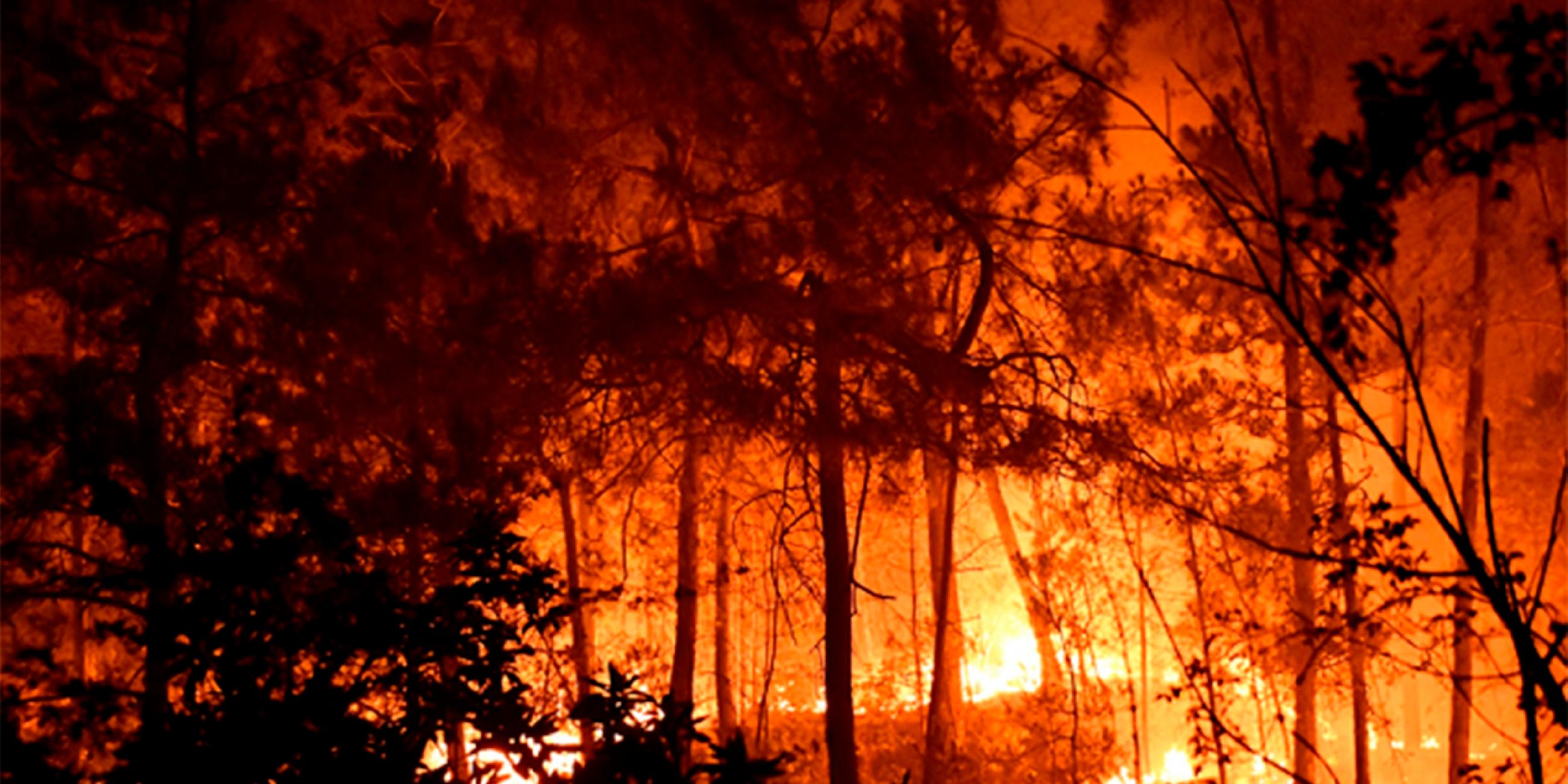 Frankreich, Bordezac: Bäume stehen in Flammen bei einem Brand in Südfrankreich. 