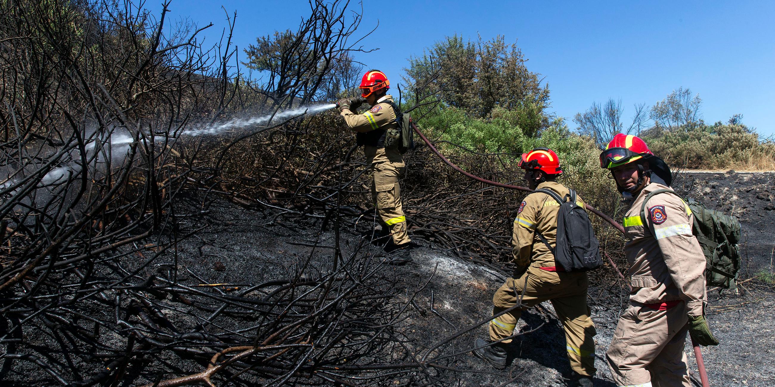  Griechenland, Schimatari: Feuerwehrleute bekämpfen einen Waldbrand.