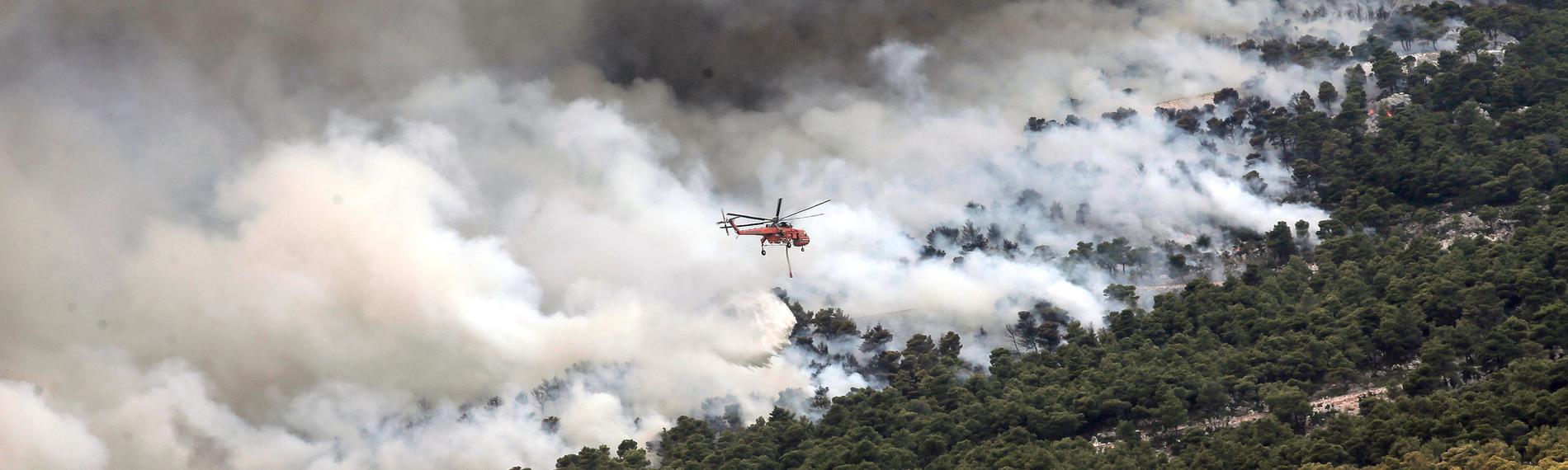 Waldbrand am Fuße des Parnitha-Gebirges nahe Athen
