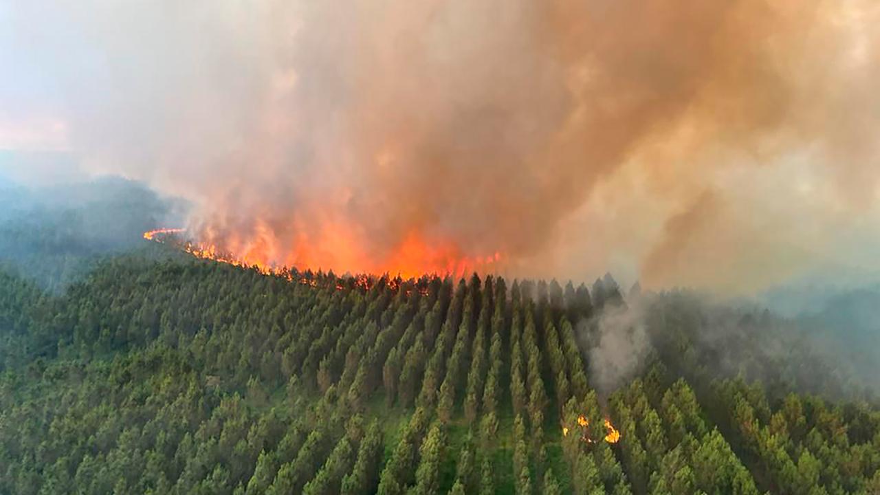 logo ! : Incendies de forêt en France – ZDFtivi