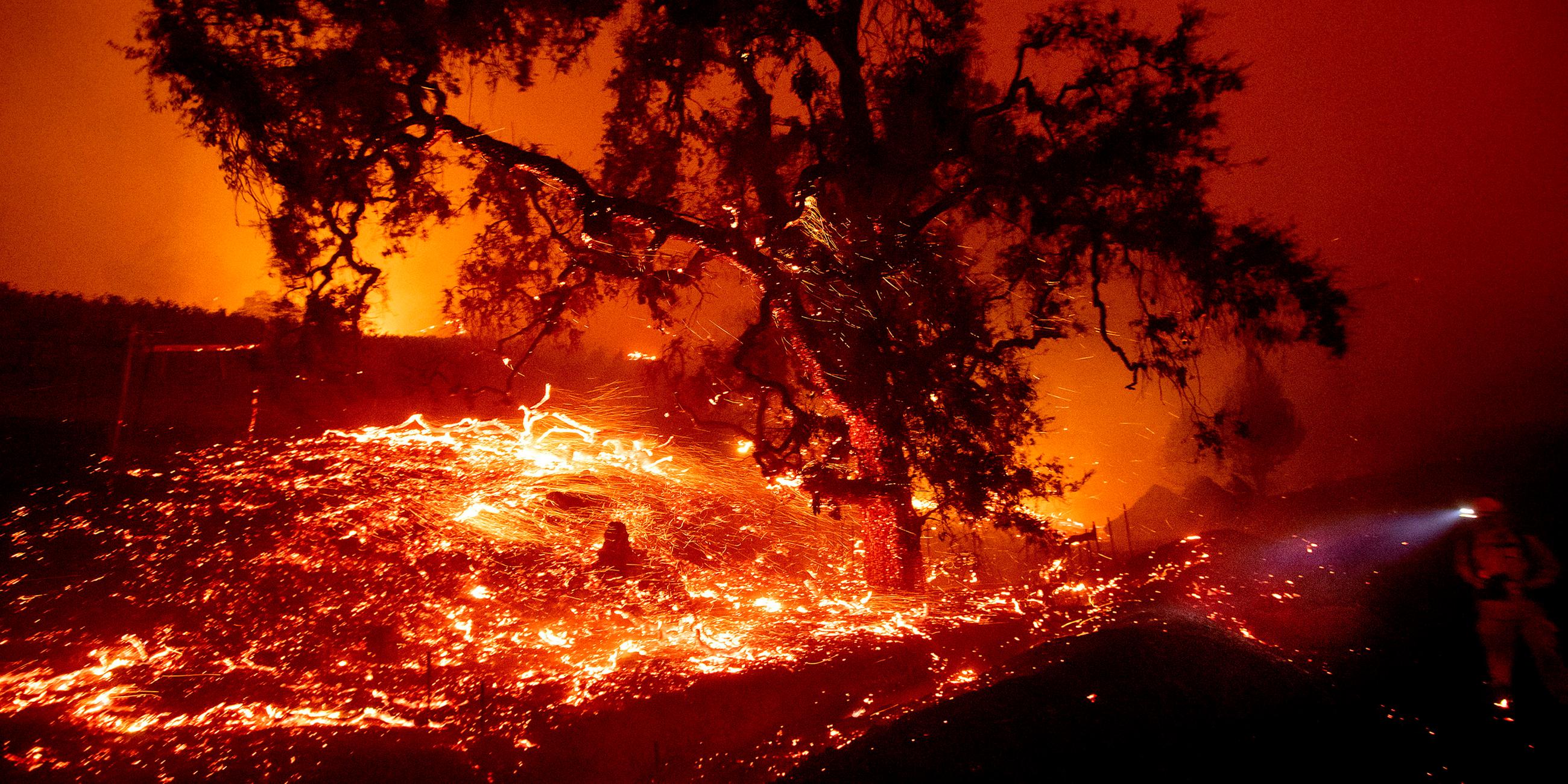 Waldbrände in Kalifornien: Nordkalifornien