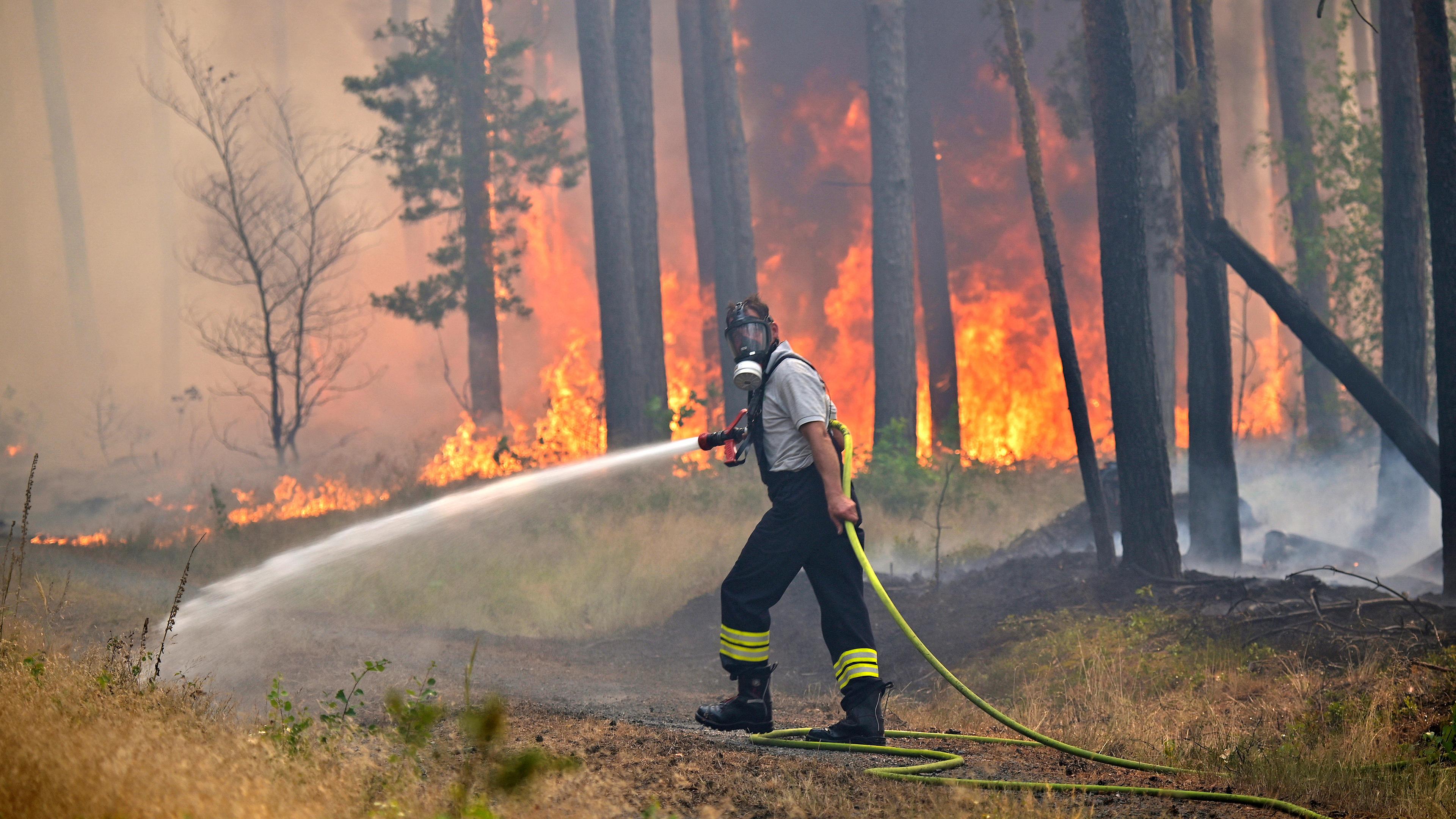 Ein Feuerwehrmann löscht einen Waldbrand während einer Hitzewelle in der Nähe von Thiendorf.