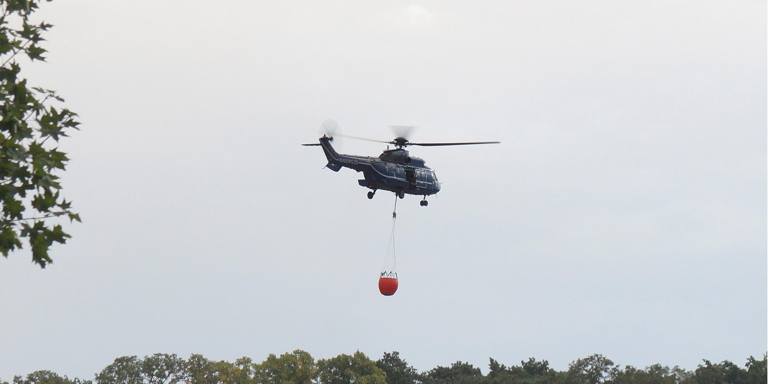 Ein Super-Puma-Hubschrauber der Bundespolizei fliegt mit Löschwasserbehälter über den Wald.