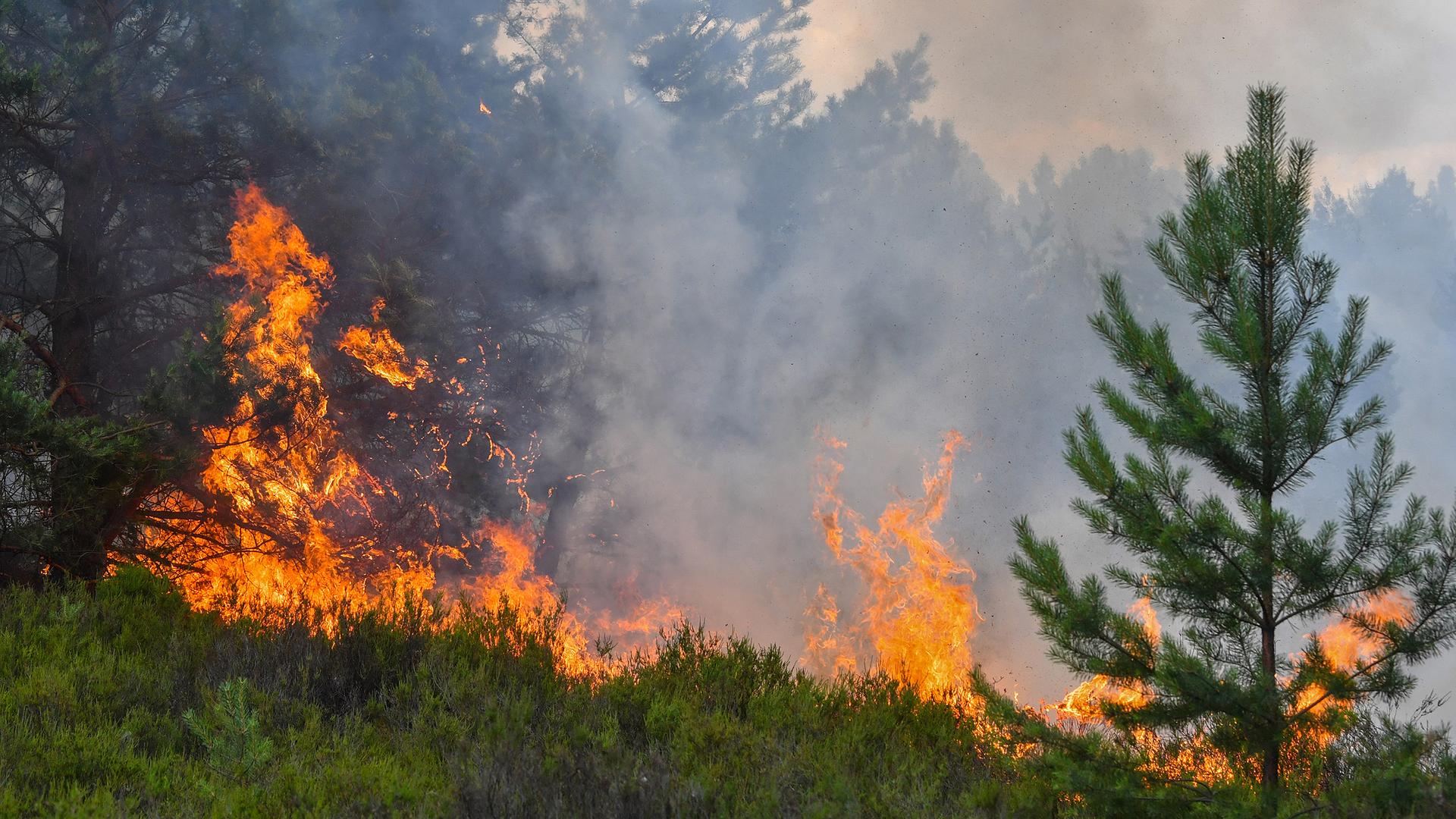 Waldbrand in Mecklenburg-Vorpommern (02.07.2019)