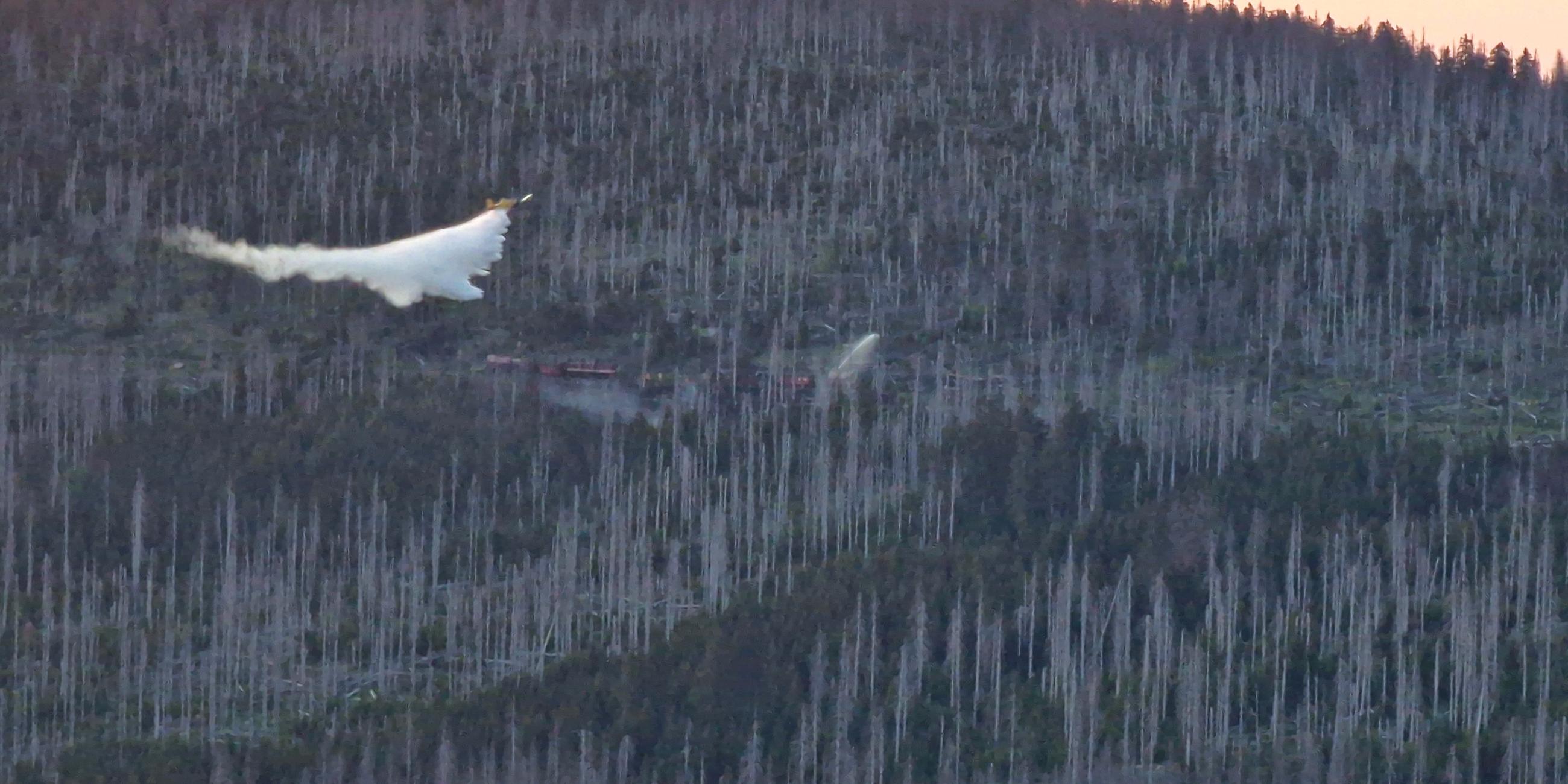 Ein Löschflugzeug wirft über der Gegend am Brocken Löschwasser ab.