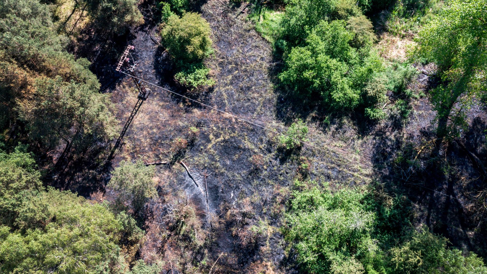 Waldbrand - Luftaufnahme mit einer Drohne