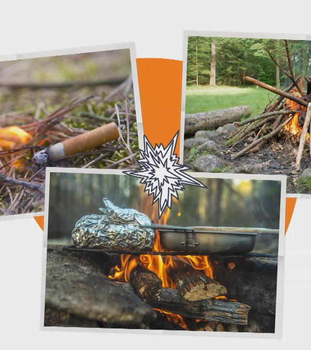 Waldbrände Erklärgrafik