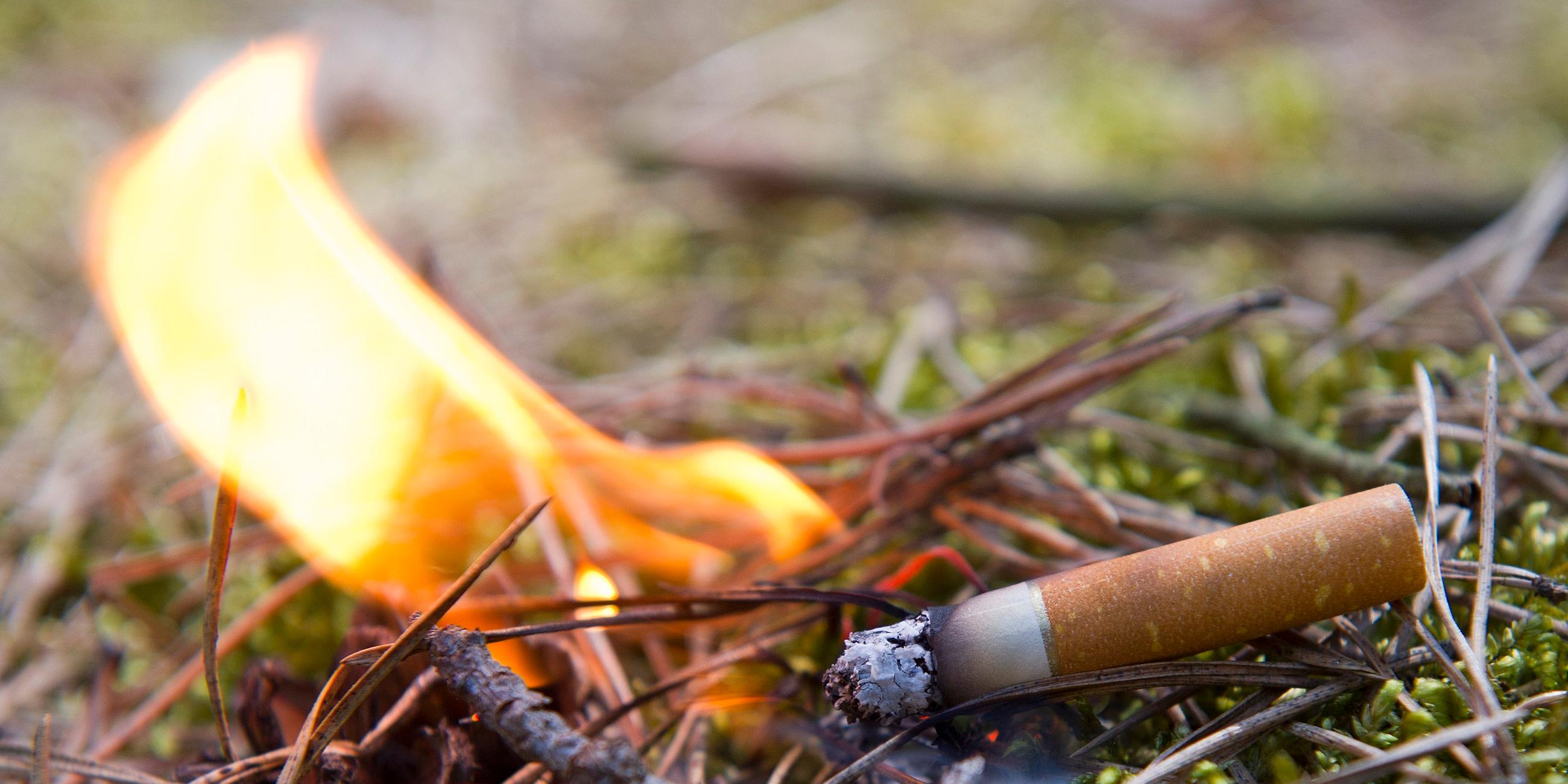 Zigarette auf trockenem Waldboden, Oberfläche fängt Feuer; Symbolbild