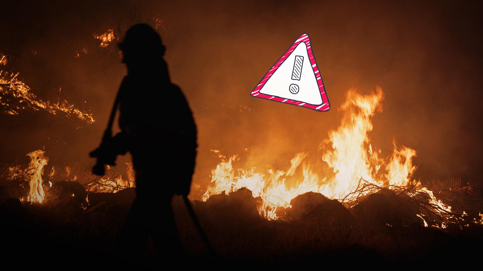 Schlimme Waldbrände in Südeuropa