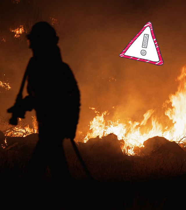 Schlimme Waldbrände in Südeuropa