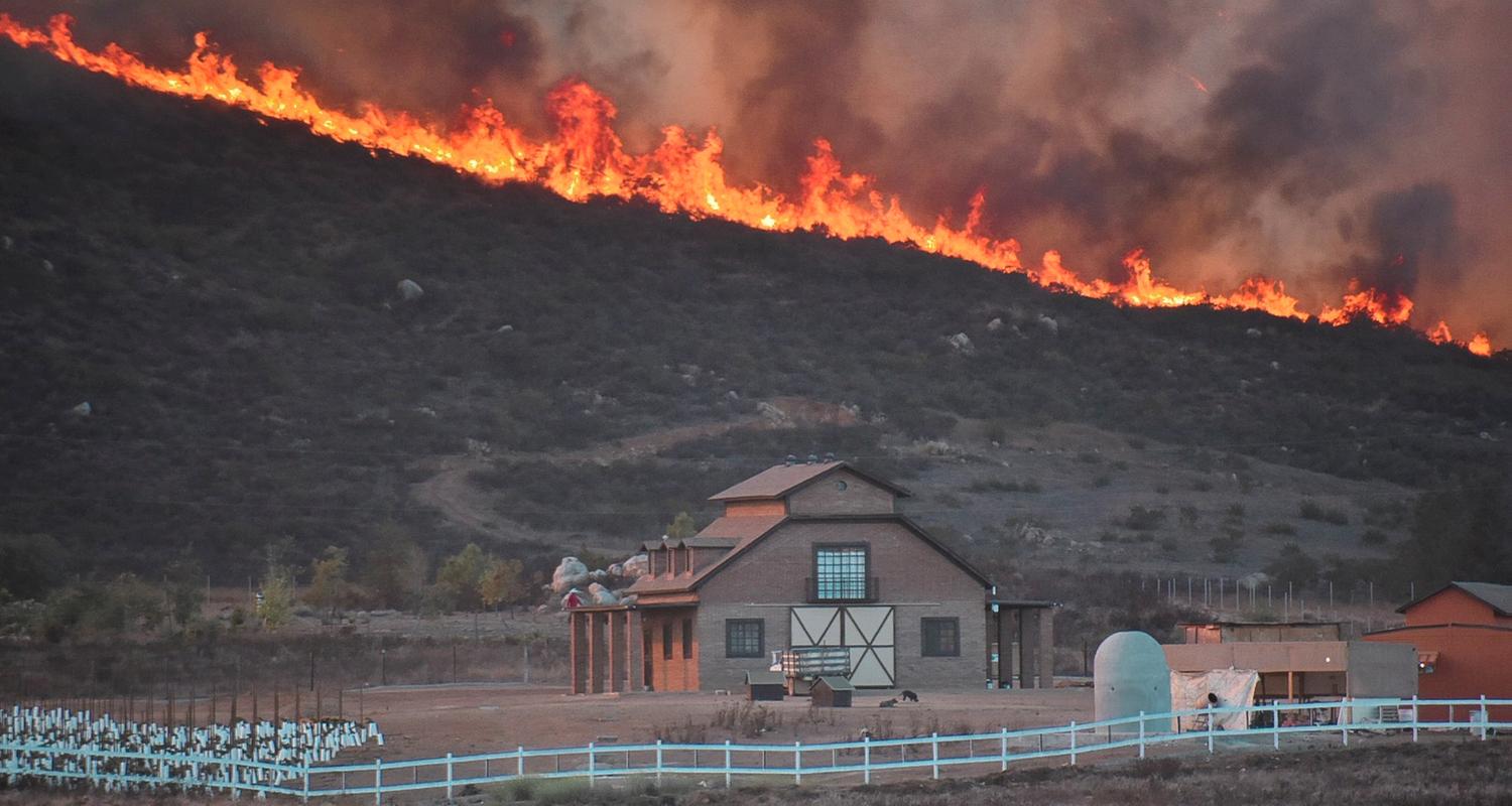 Waldbrände in Kalifornien: Auch in Mexiko brennt es
