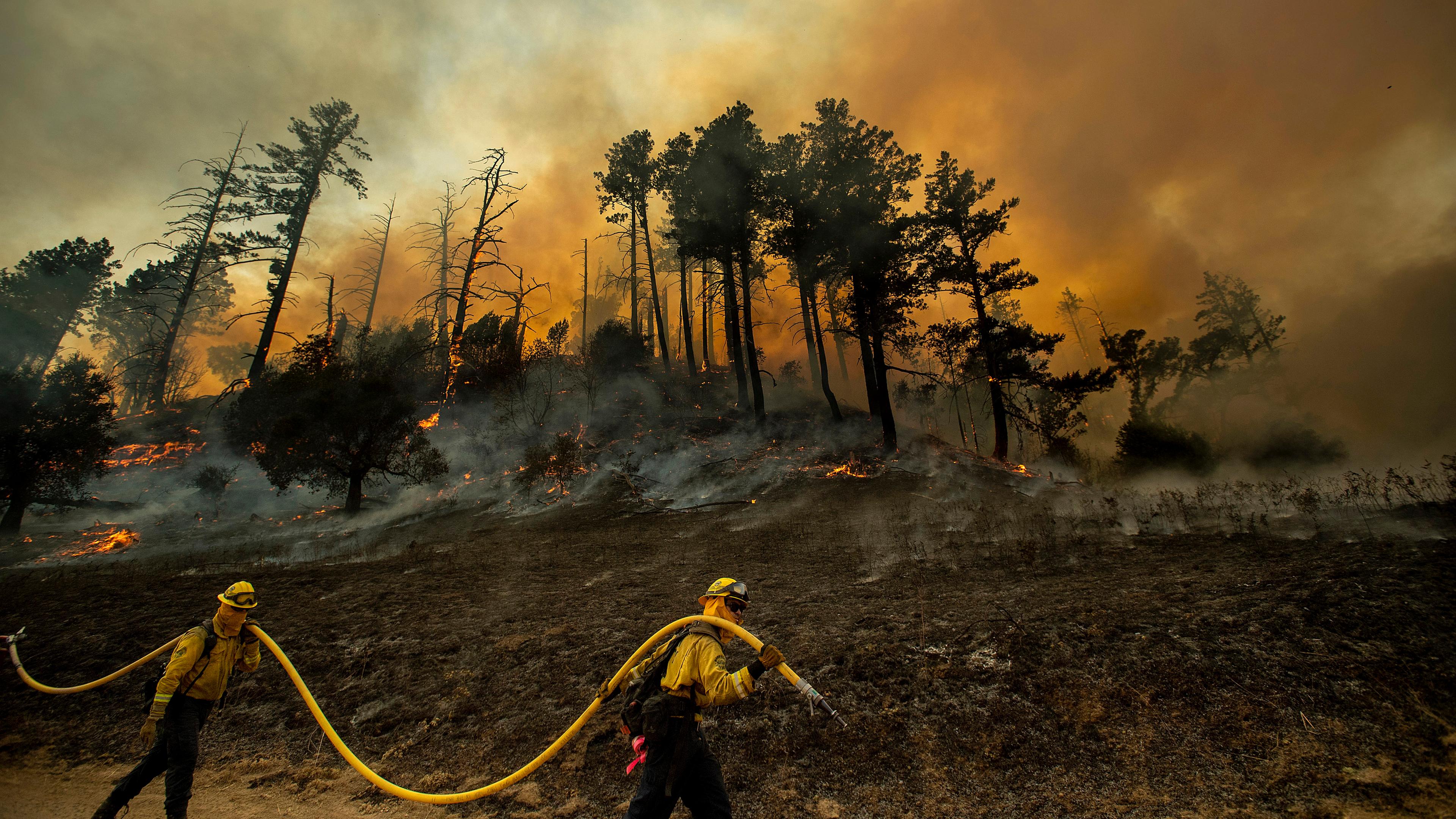Waldbrände in Kalifornien: Winde und Trockenheit