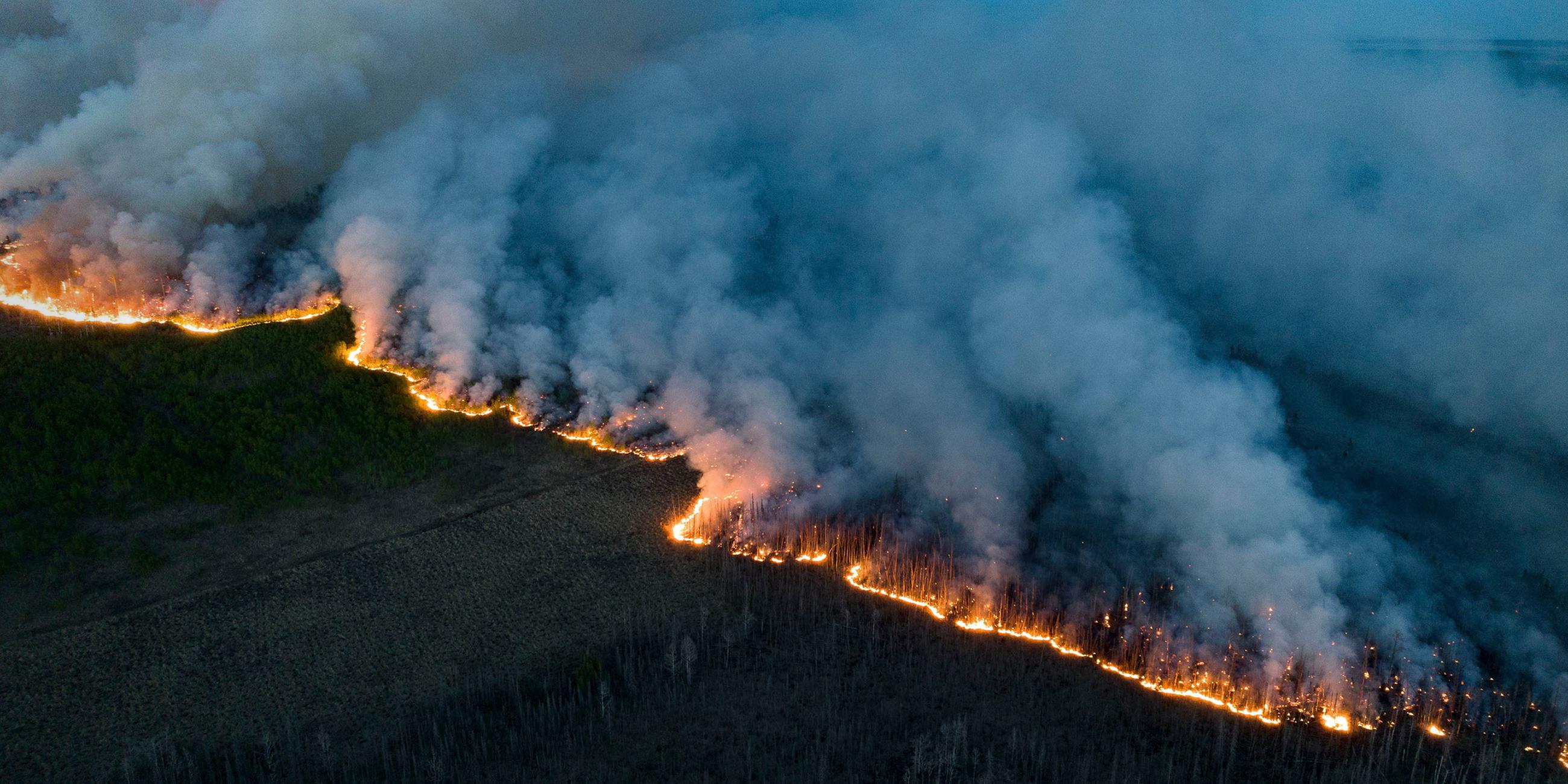 Eine Luftaufnahme von einem Waldbrand in Kanada am 09.06.2023.