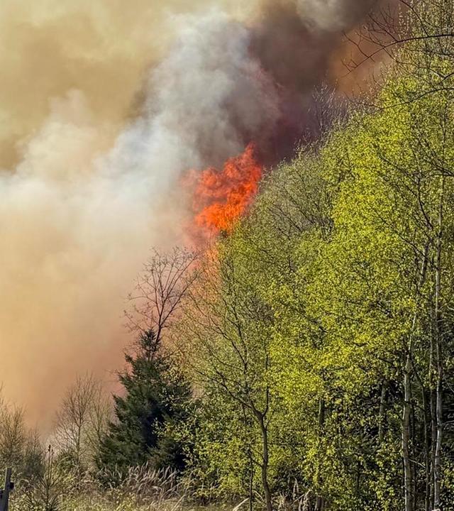 Waldbrand im niedersächsischen Badenermoor 