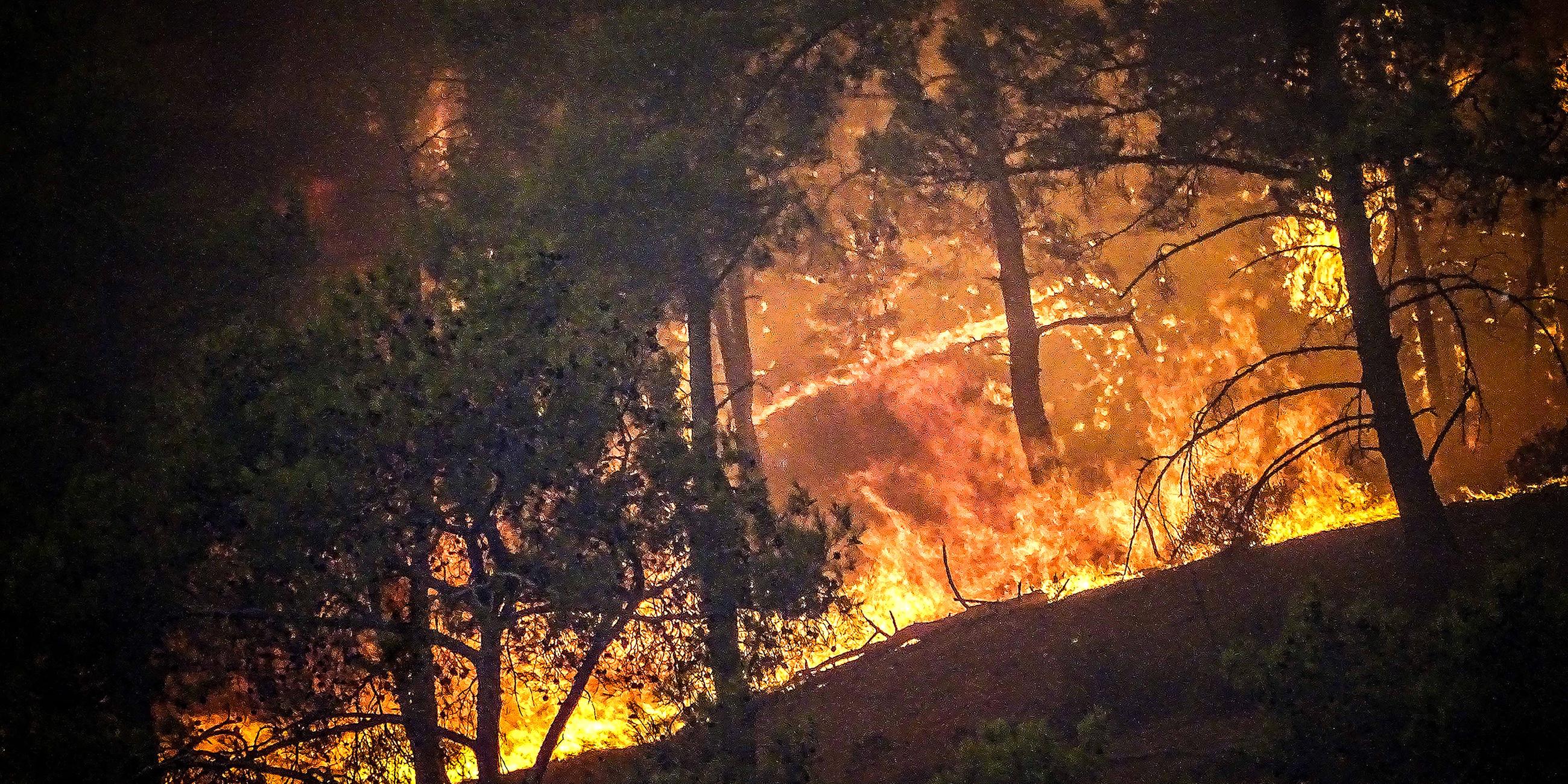 Waldbrand tobt auf der griechischen Insel Rhodos