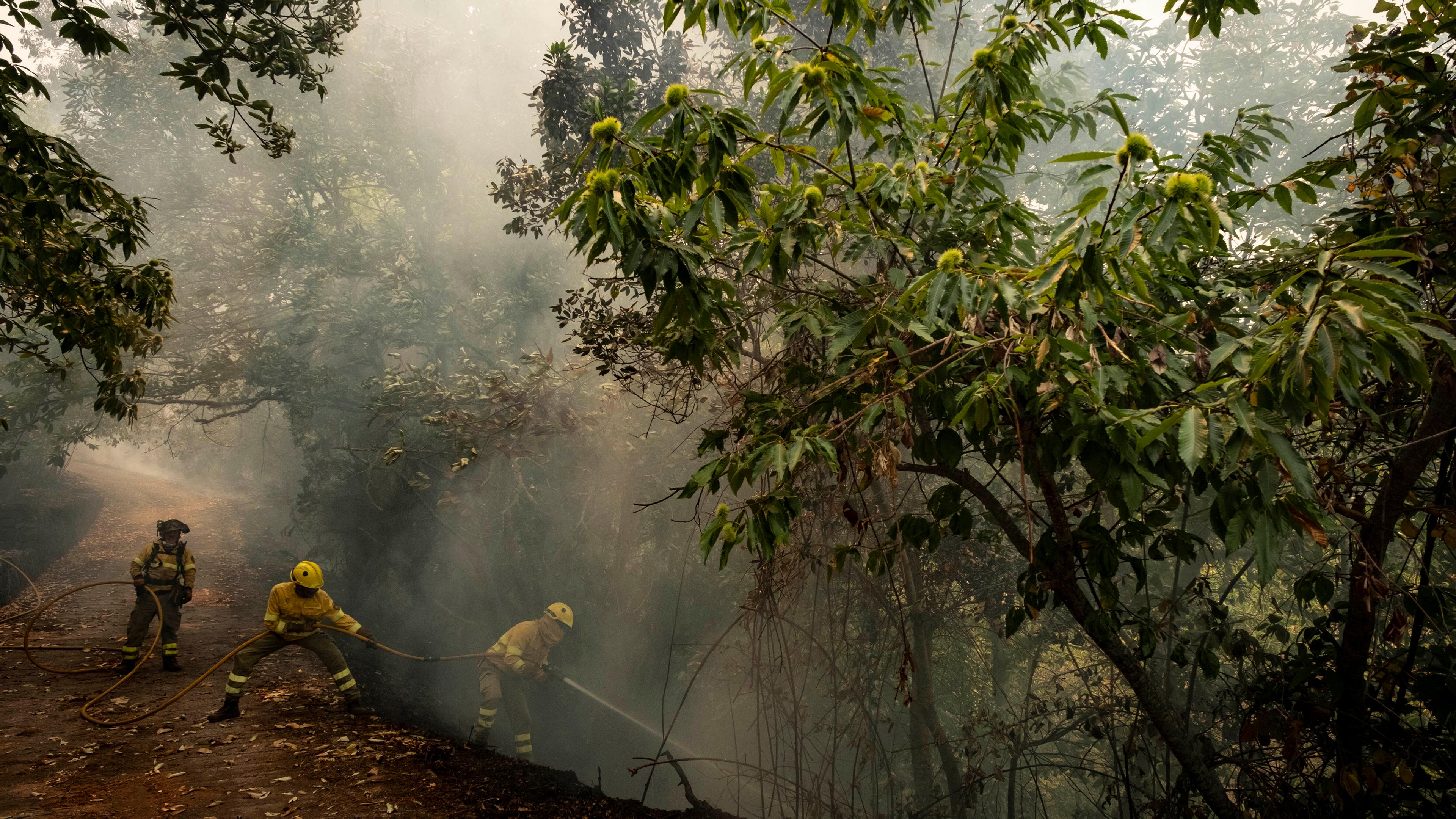 Teneriffa: Rettungskräfte und Feuerwehrleute arbeiten daran, den Waldbrand zu löschen.