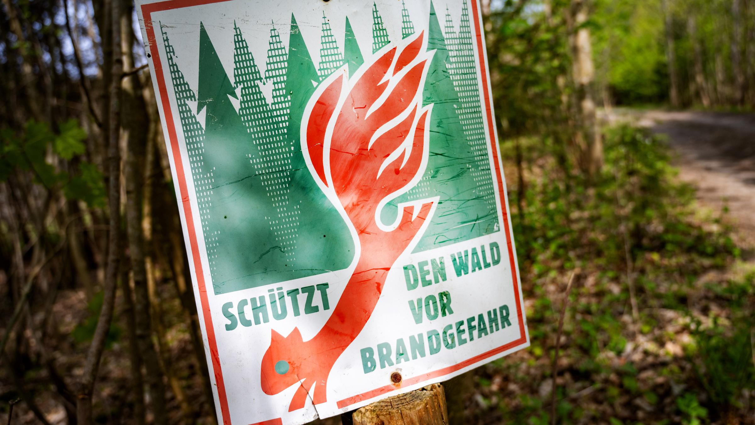 Ein Schild mit der Aufschrift "Schütz den Wald vor Brandgefahr" hängt in einem Wald an einem Waldweg. 