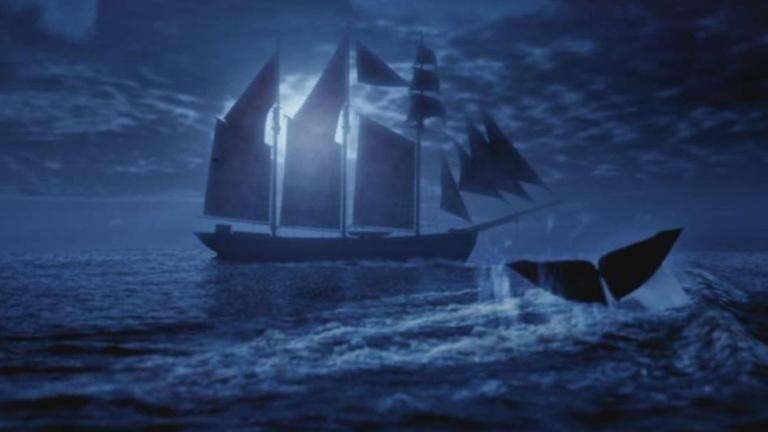 Walflosse vor Schiff