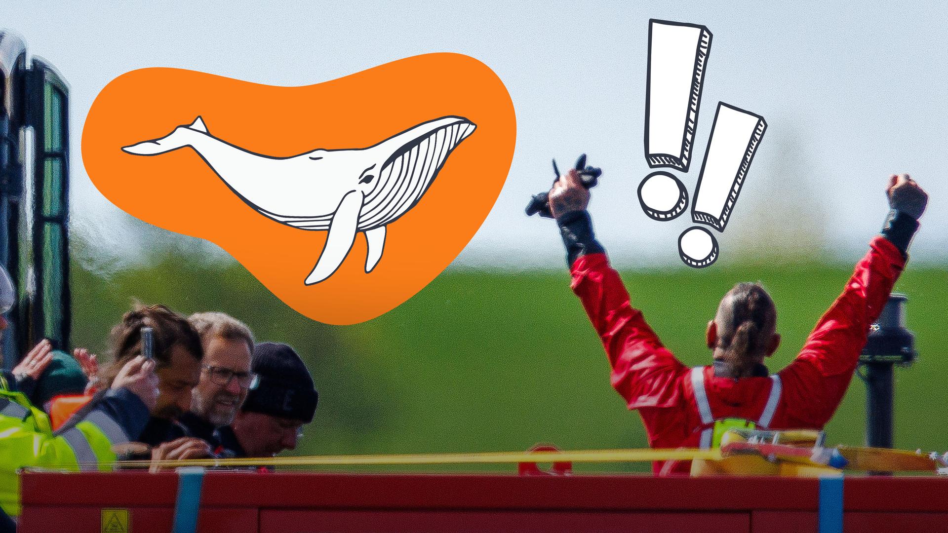 Bild für Der Wal ist im Boot