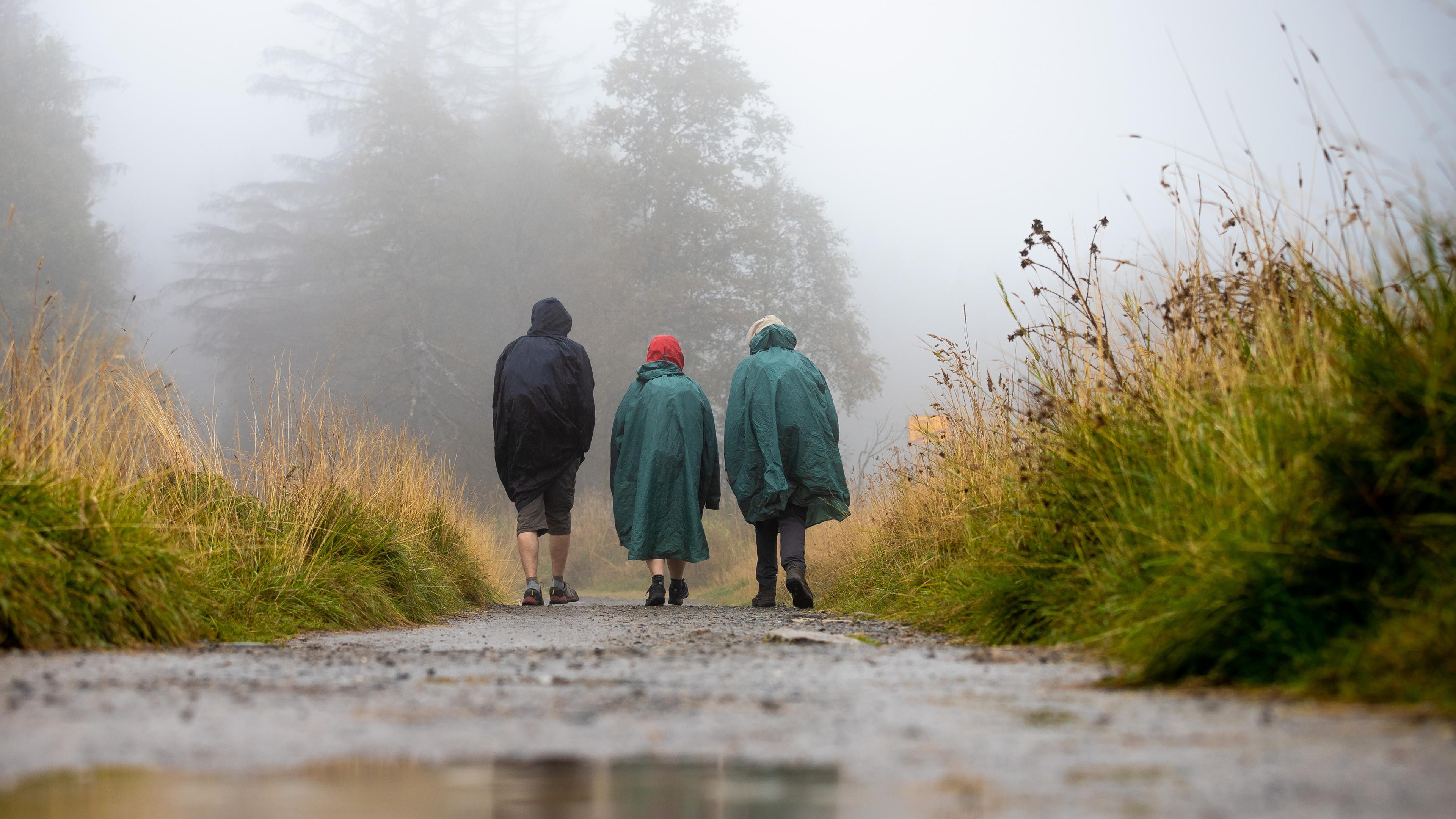 Wanderer gehen bei Regen und Nebel über einen Weg im Harz.