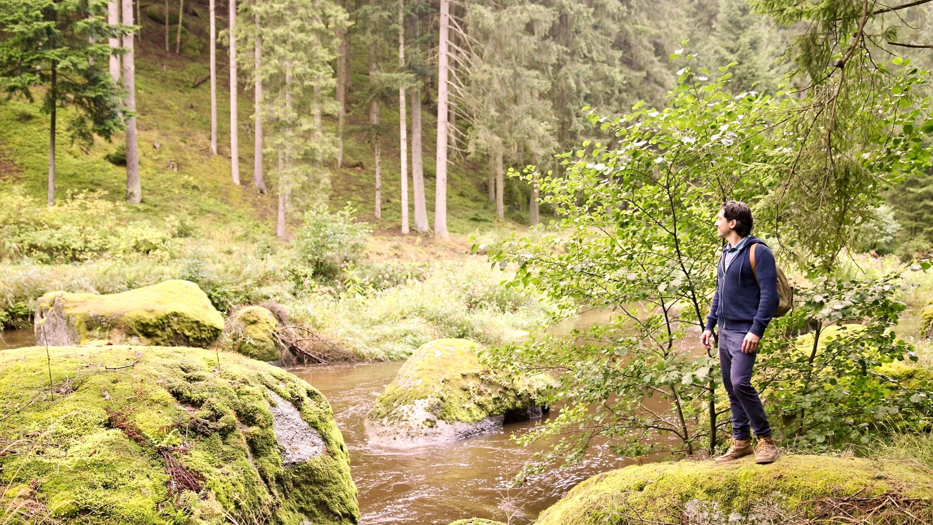 Schauspieler Stefano Bernardin steht auf einem mit Moos bedeckten Felsen neben einem Waldfluss.