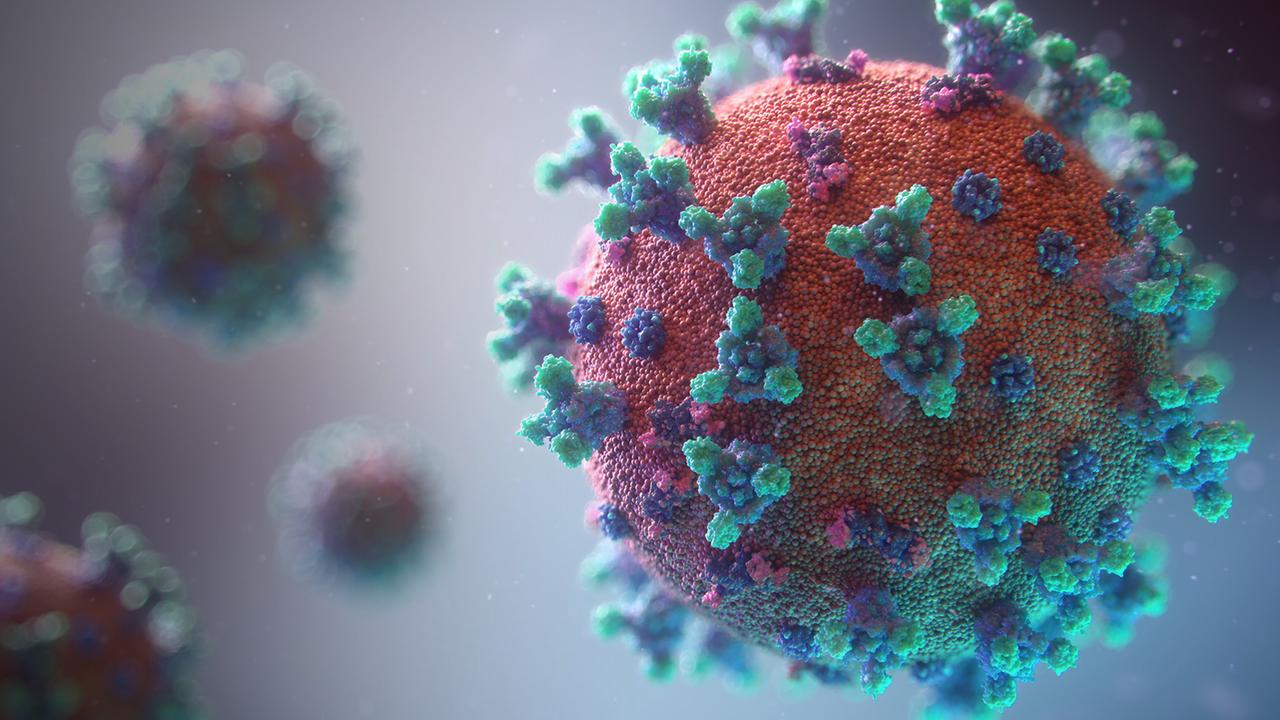 Was ist das Erfolgsrezept von Viren? ZDFmediathek