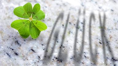 Vierblättriges Kleeblatt