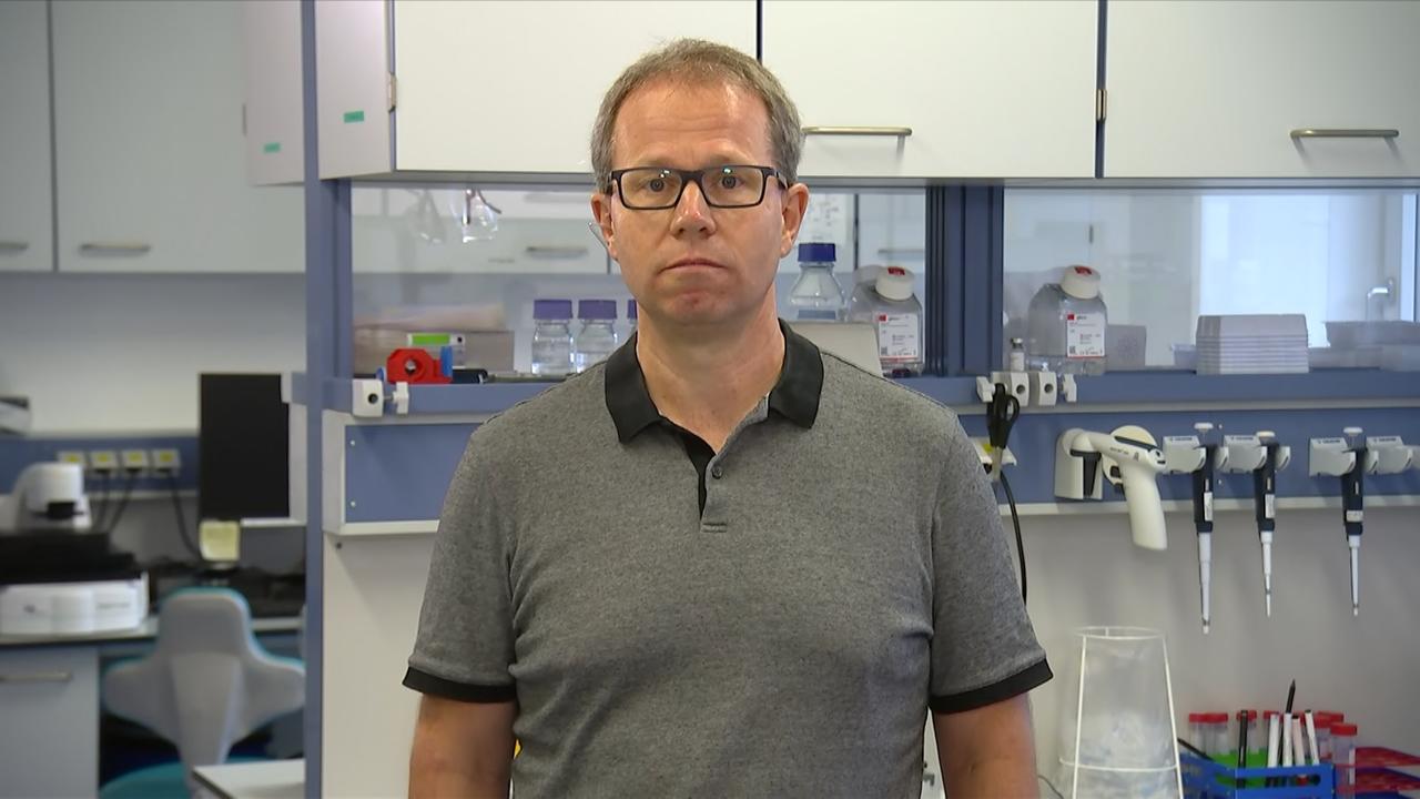 Reaktion auf "3G": Immunologe Watzl: Inzidenz sehr wichtig - Vimarsana News
