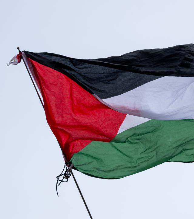 Wehende Flagge von Palästina