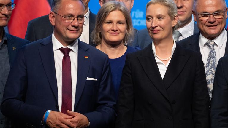 Bundesparteitag der AfD