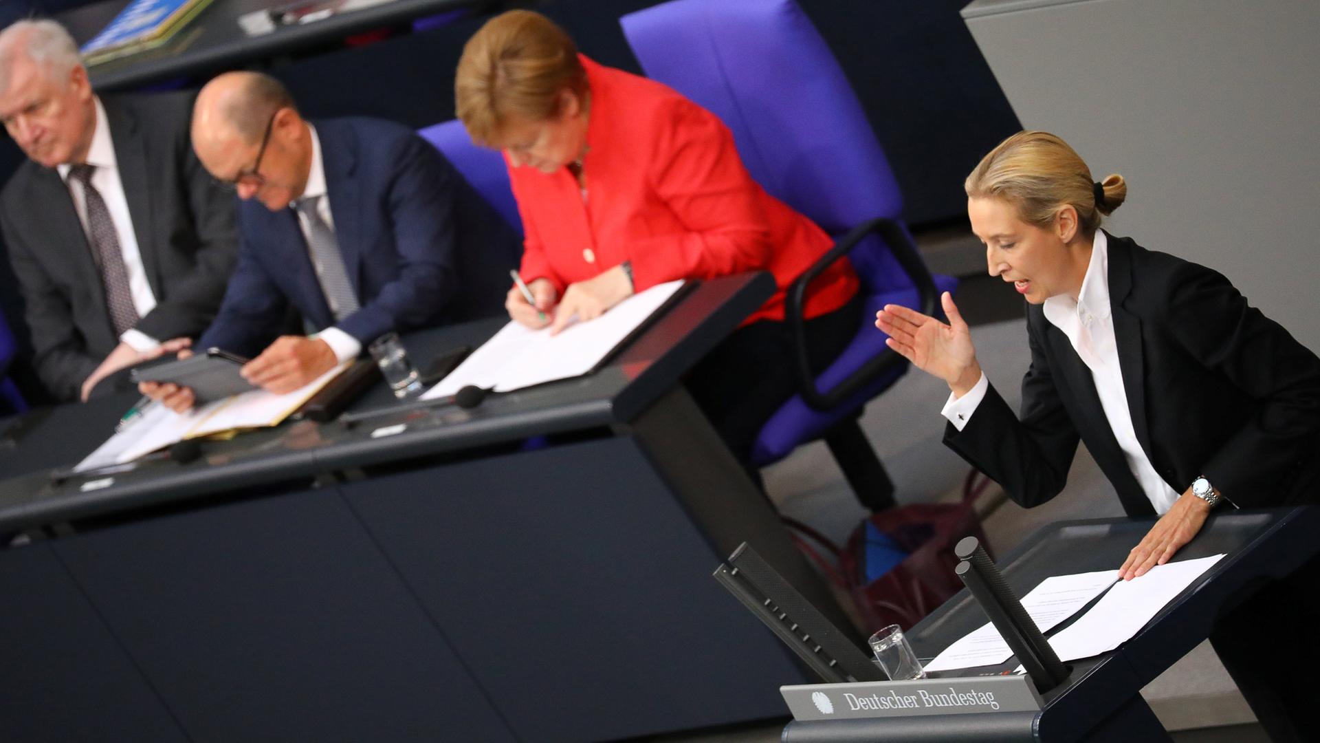 Alice Weidel bei der Generaldebatte im Bundestag. Im Hintergrund Angela Merkel, Olaf Scholz und Horst Seehofer.