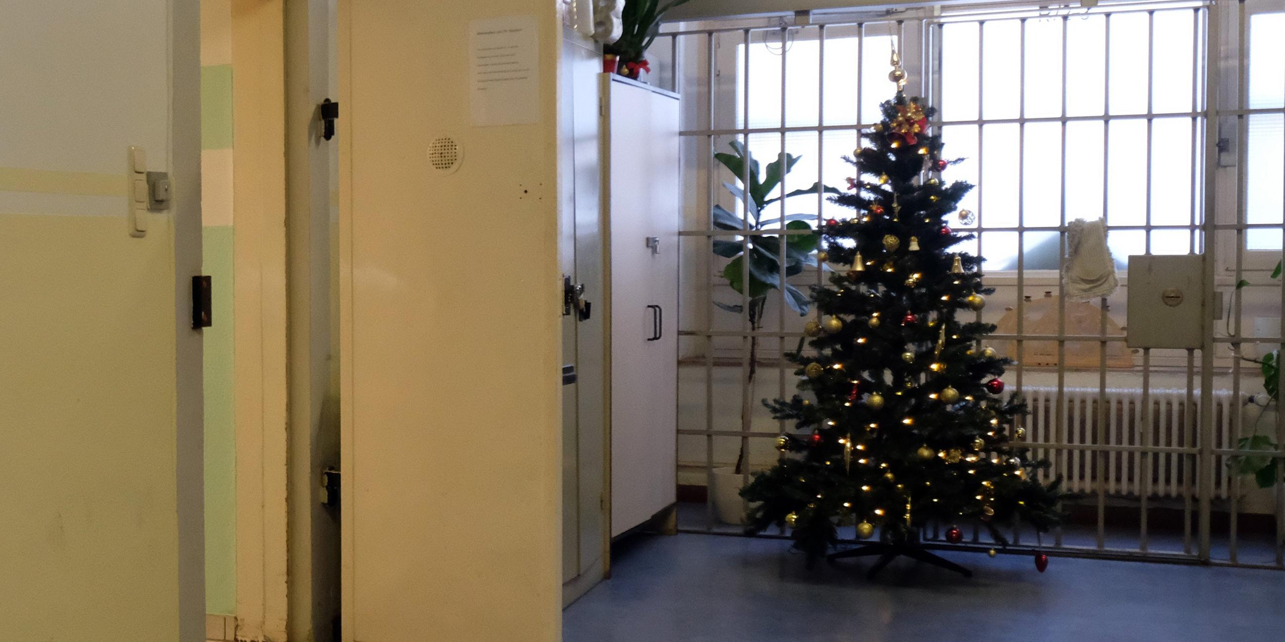Ein Weihnachtsbaum steht in der Justizvollzugsanstalt (JVA).