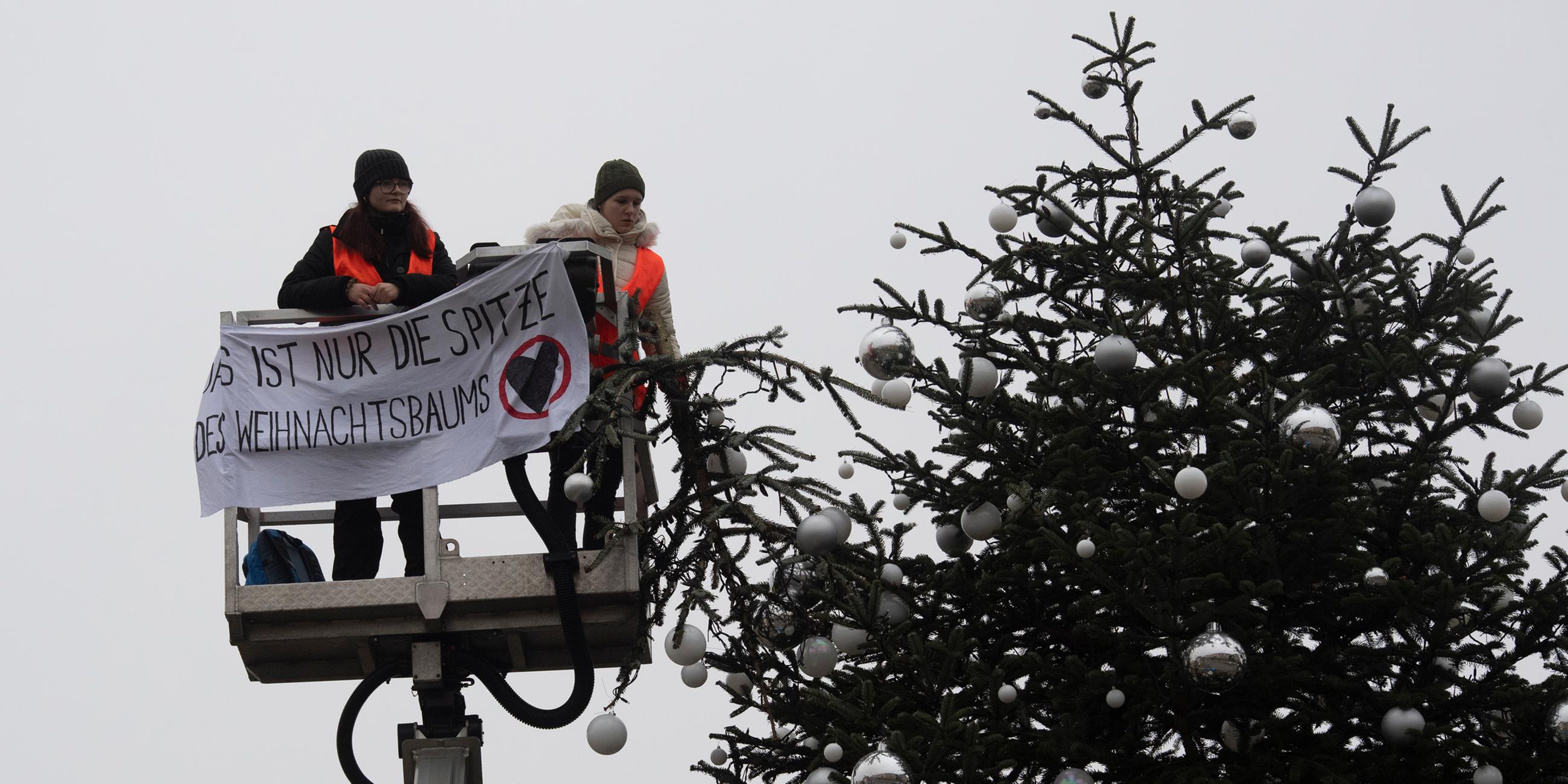 Ohne Spitze steht der Weihnachtsbaum vor dem Brandenburger Tor. 