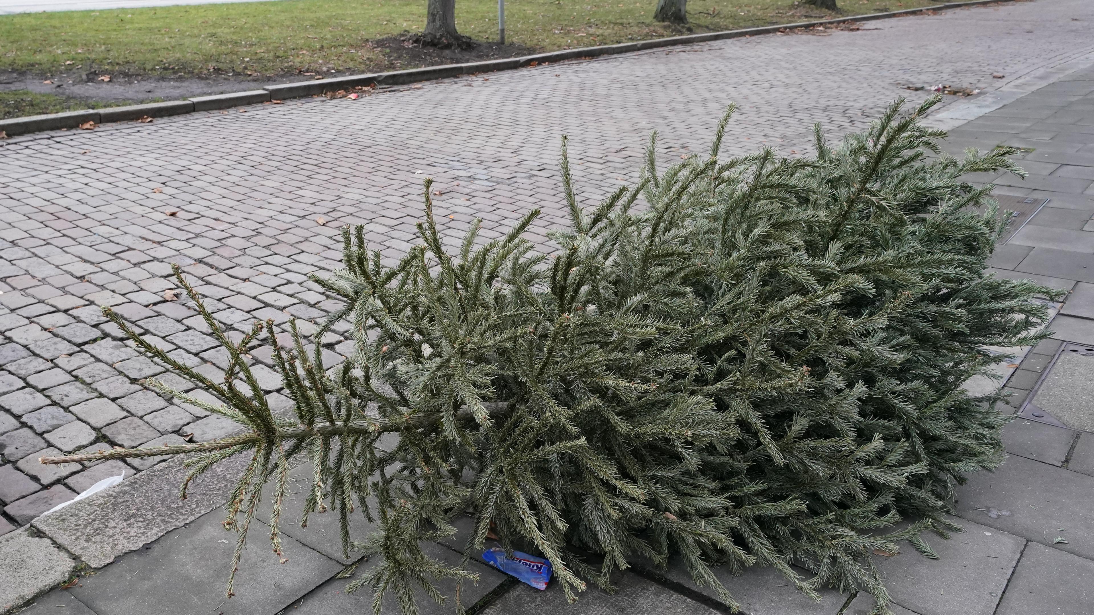 Ein Weihnachtsbaum liegt auf einem Gehweg.