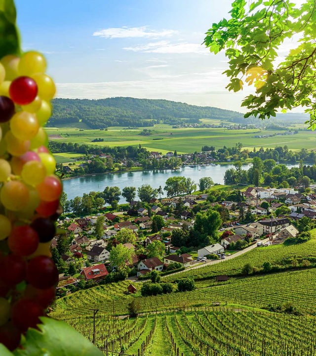 Hintergrund