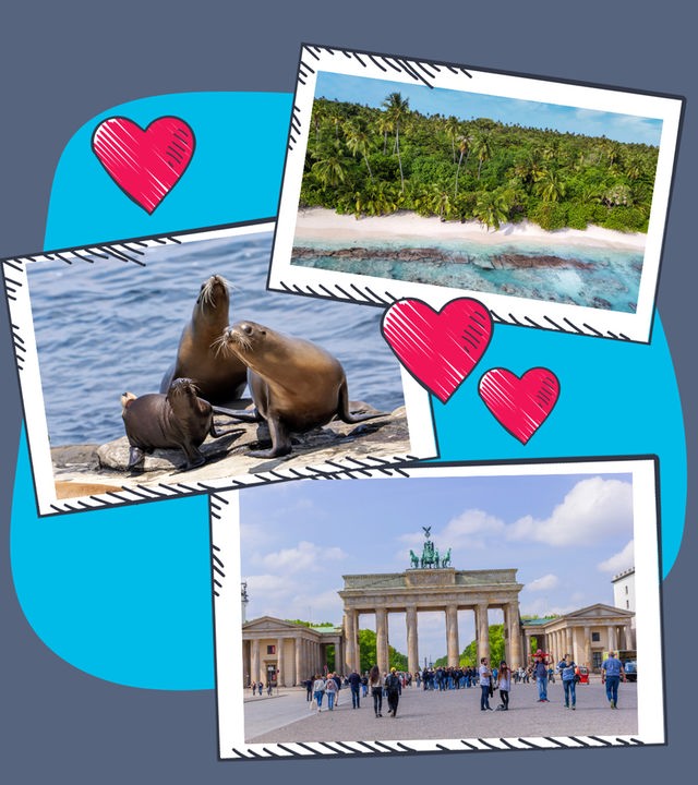 Drei Postkarten mit den Motiven: Seerobben, Strand mit Palmen und dem Brandenburger Tor in Berlin