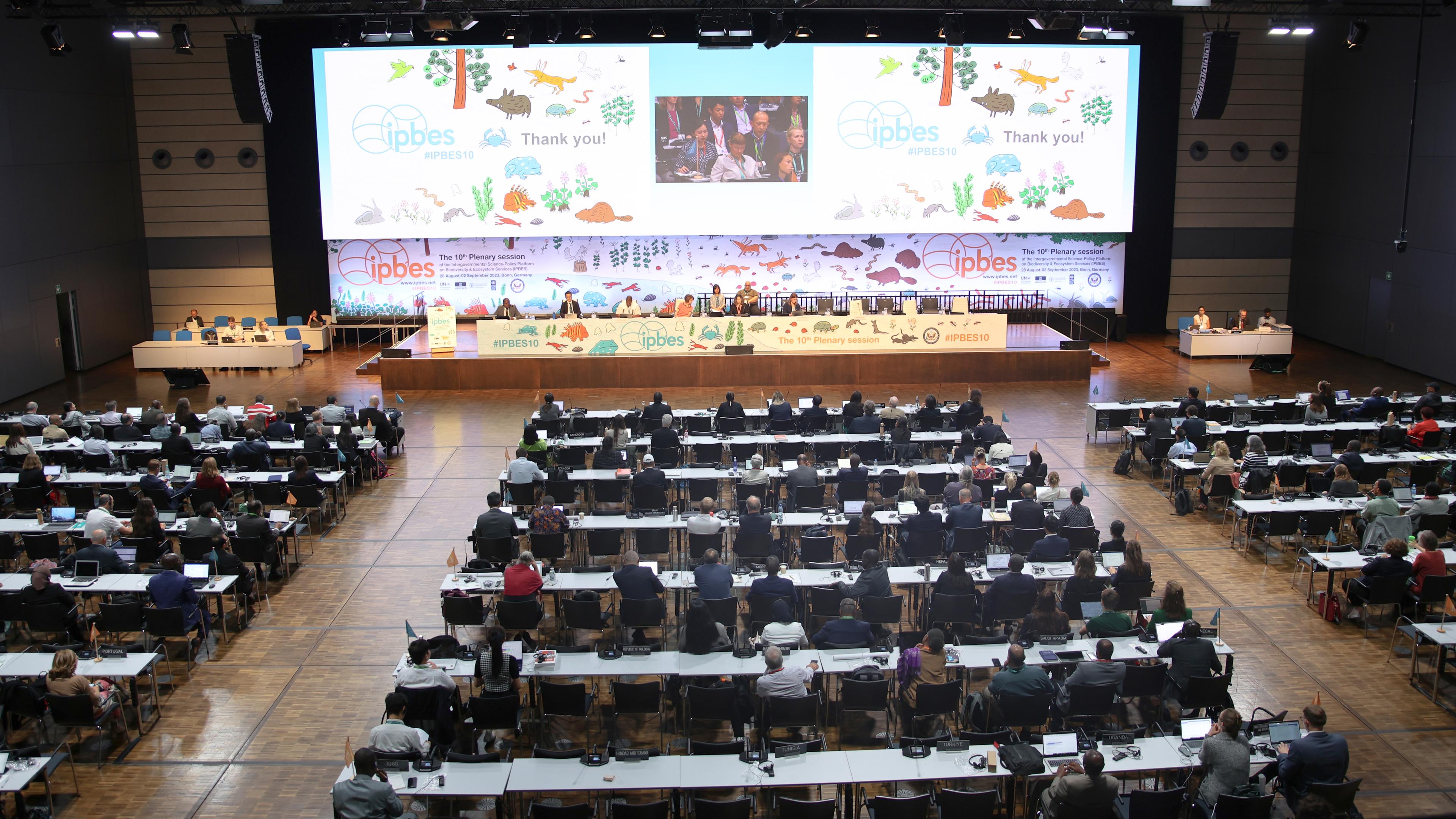 Der Weltbiodiversitätsrat IPBES tagt in Bonn