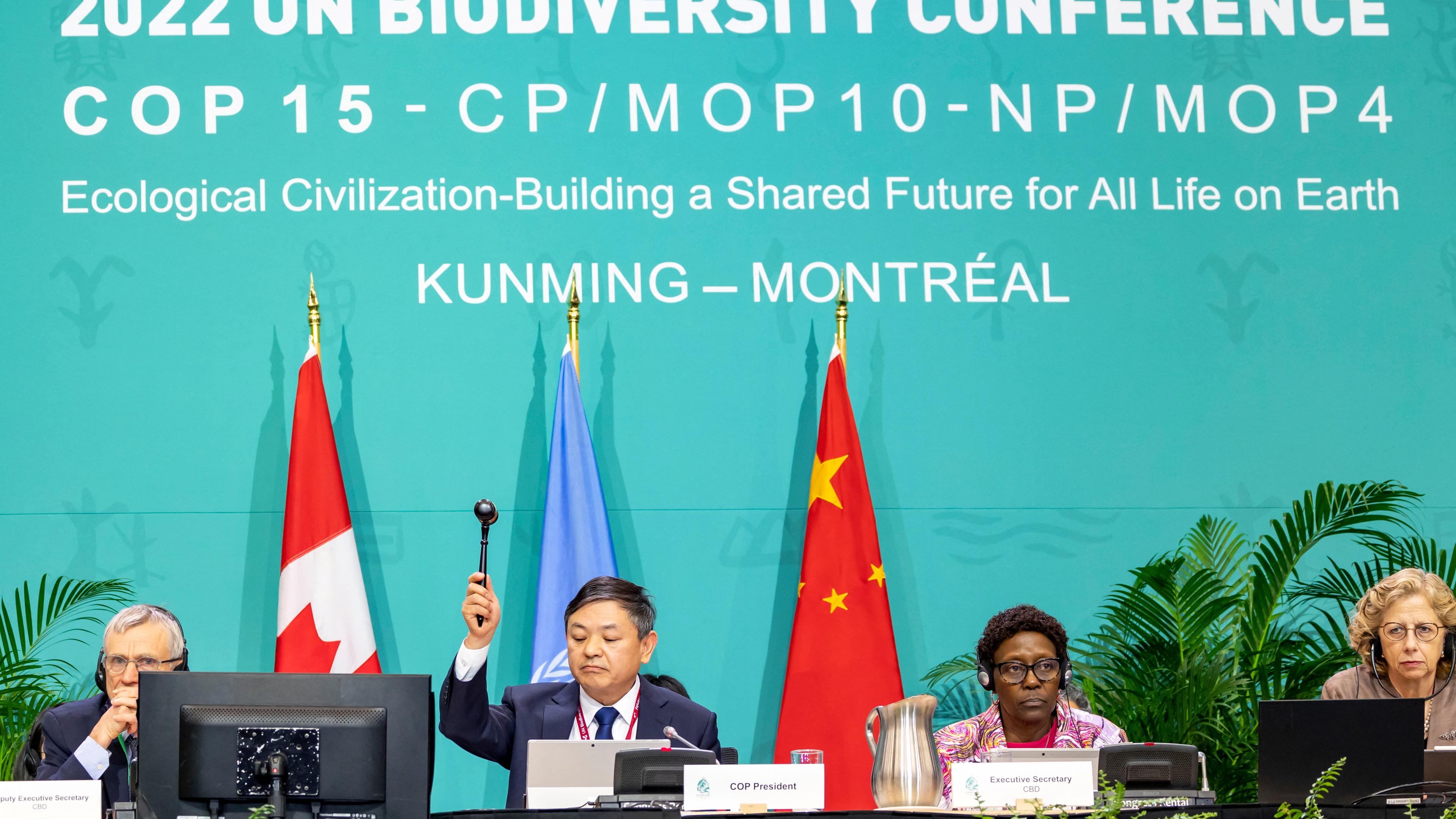 193 Länder haben sich bei der UN-Konferenz über Biodiversität in Montreal auf einen Fahrplan geeinigt, der die Zerstörung der Natur bis 2030 stoppen soll. 