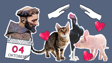 Bild des Herkunftsvideos in der ZDF Mediathek