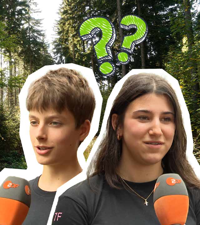 In einer Collage sprechen Kinder ins ZDF Mikrofon, daneben zwei grüne Fragezeichen, dahinter ein Bild von einem Wald