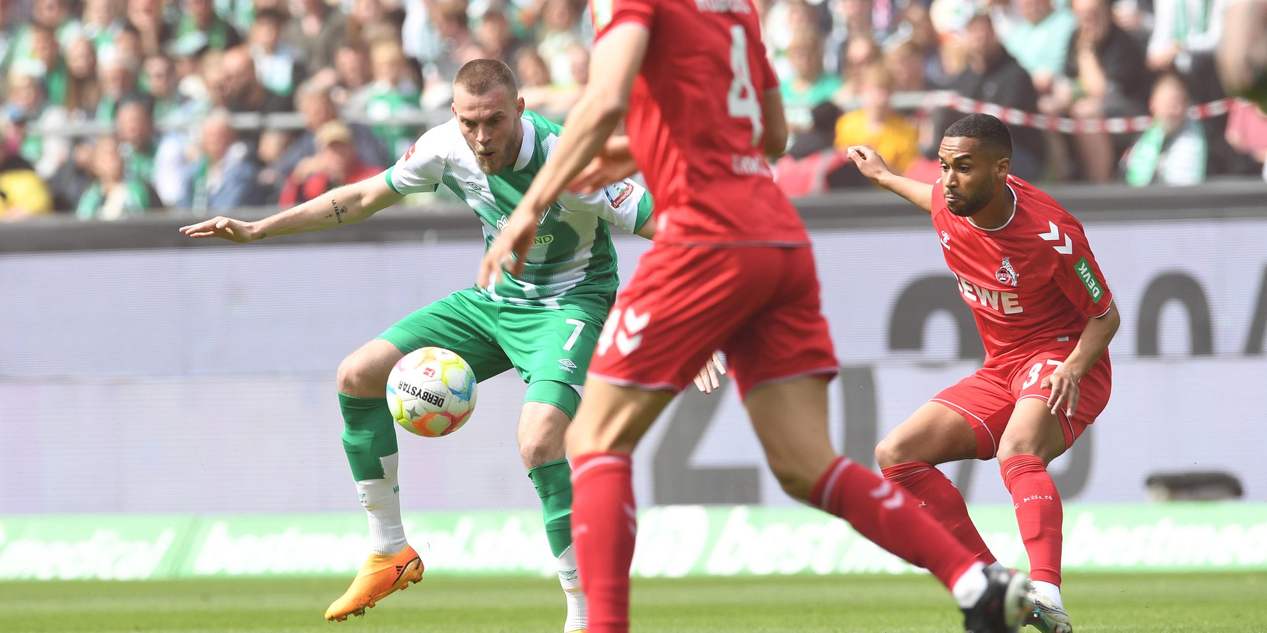 Werders Marvin Ducksch (l-r) versucht sich gegen die Kölner Timo Hübers und Linton Maina durchzusetzen.