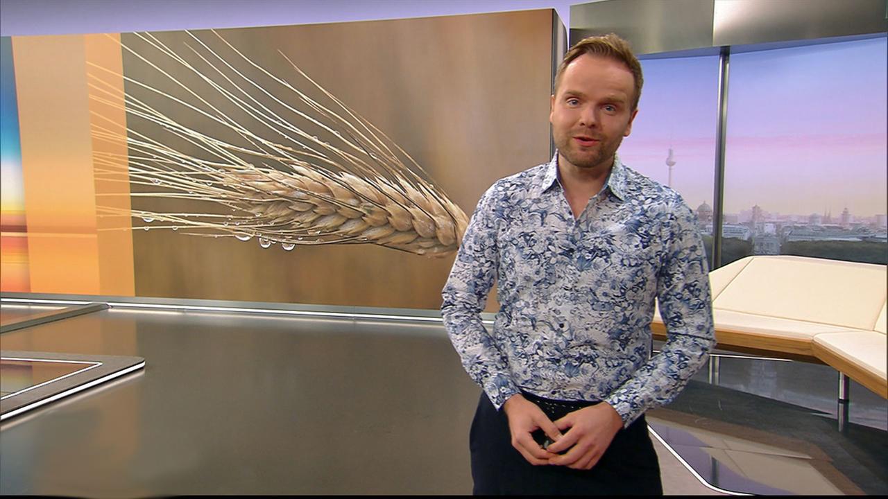 So wird das Wetter am Mittwoch ZDFheute