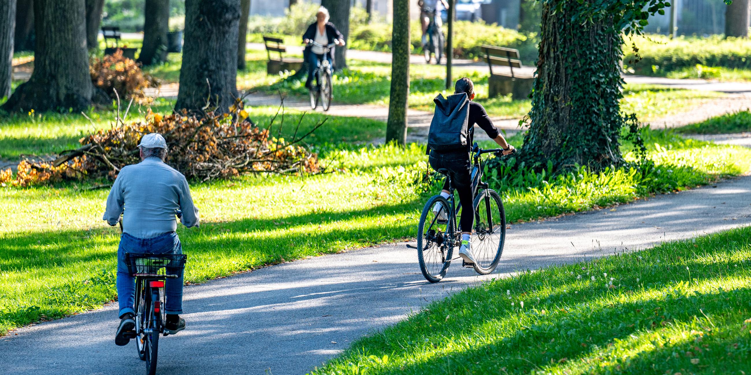 Radler fahren bei sonnigem Wetter in Landshut durch den Stadtpark