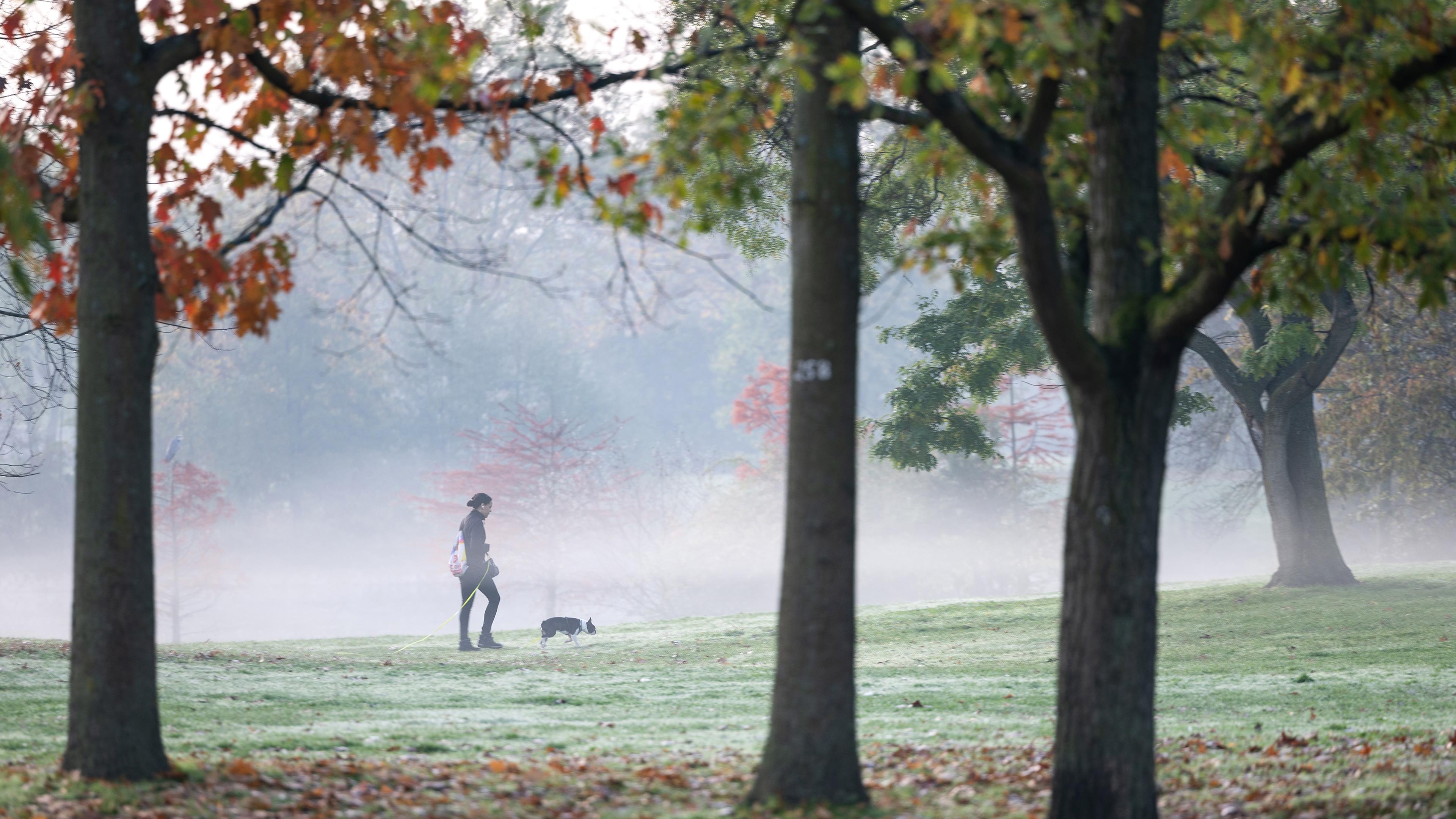 Eine Spaziergängerin geht am Morgen mit ihrem Hund im Rebstockpark spazieren, aufgenommen am 30.10.2022