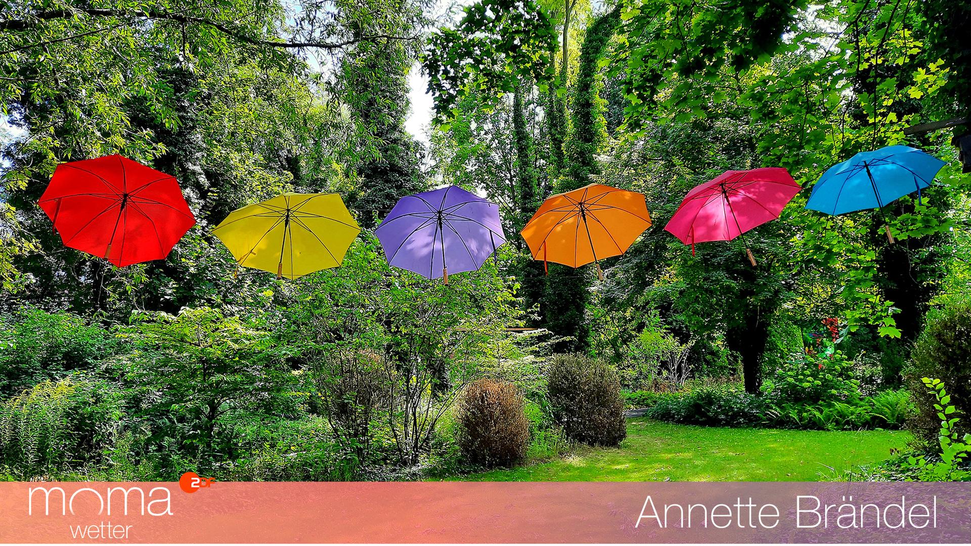 Regenschirme in Rathenow