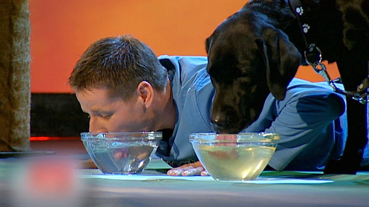 Wettkandidat bei Wetten, dass..?