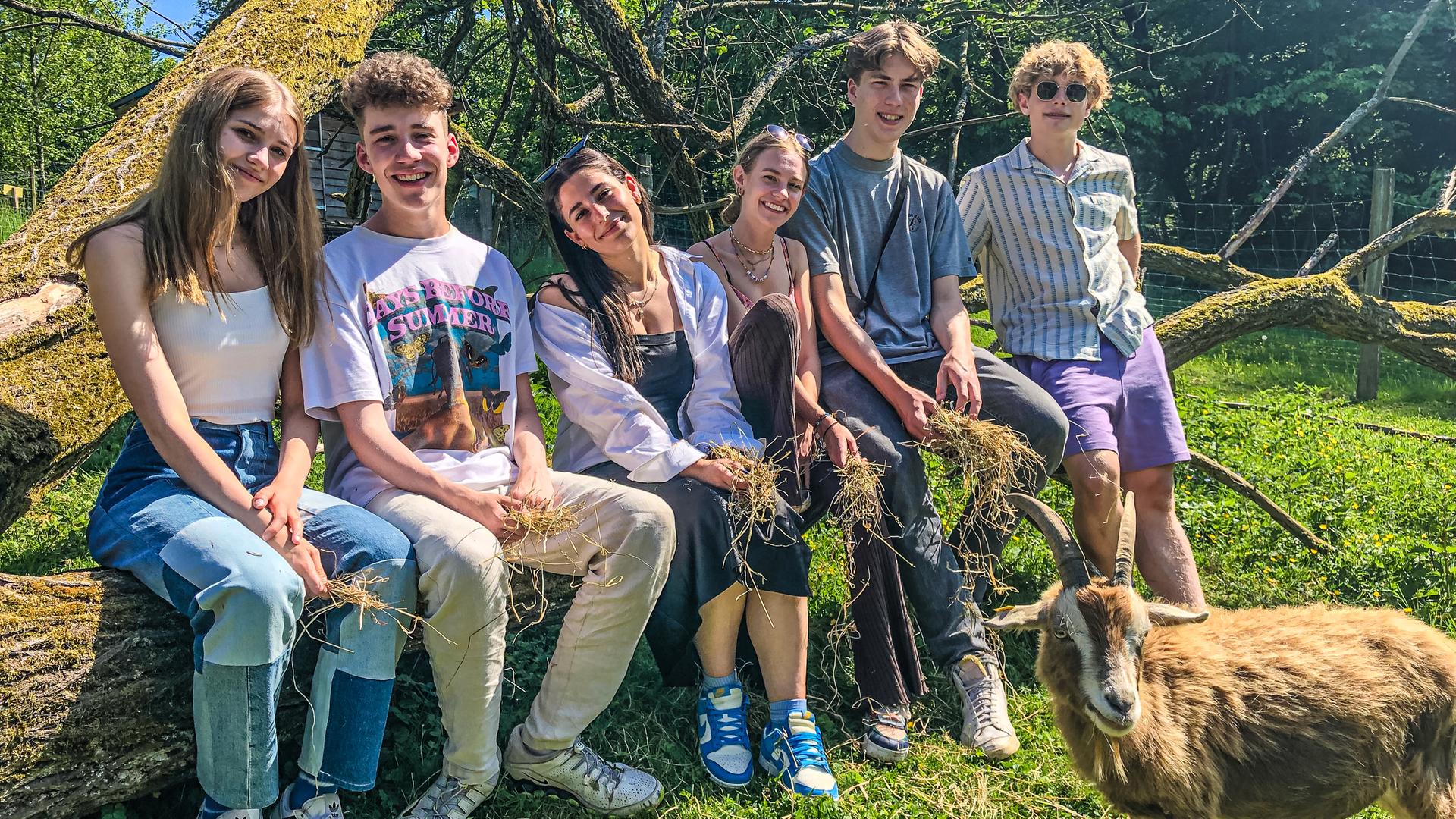 Toni, Jannis, Feli, Alexa, Rouven und Julius sitzen nebeneinander auf einem Baumstamm